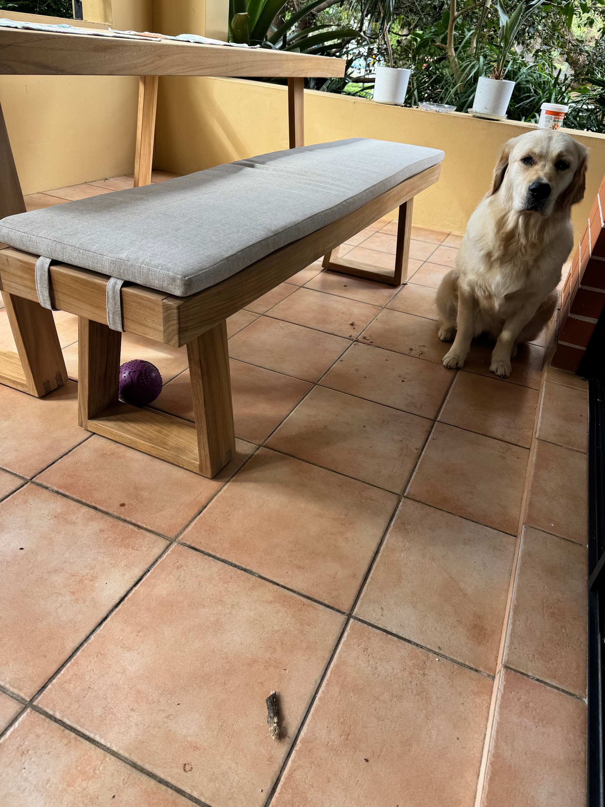 Nice bench