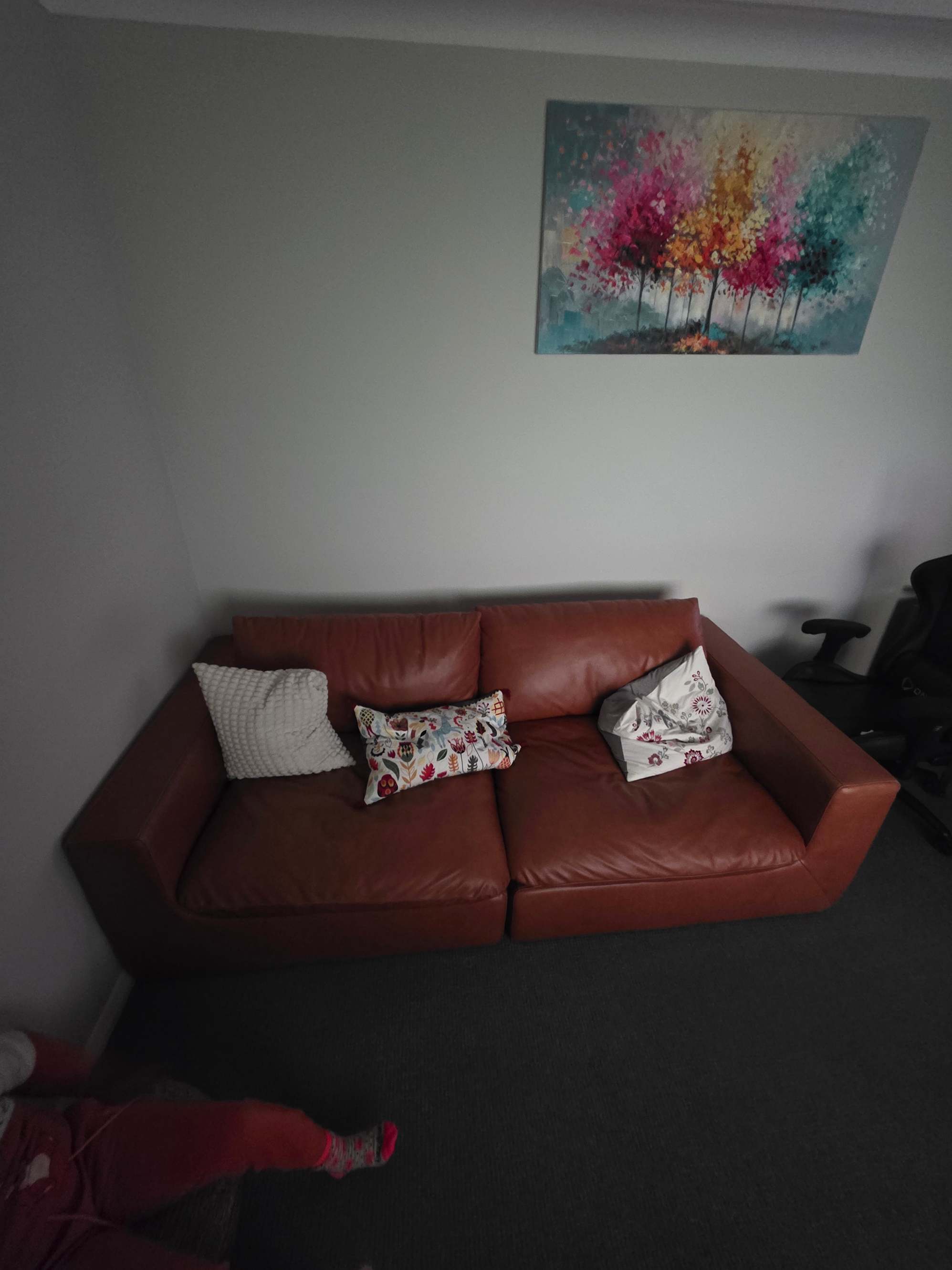 review from Looks great