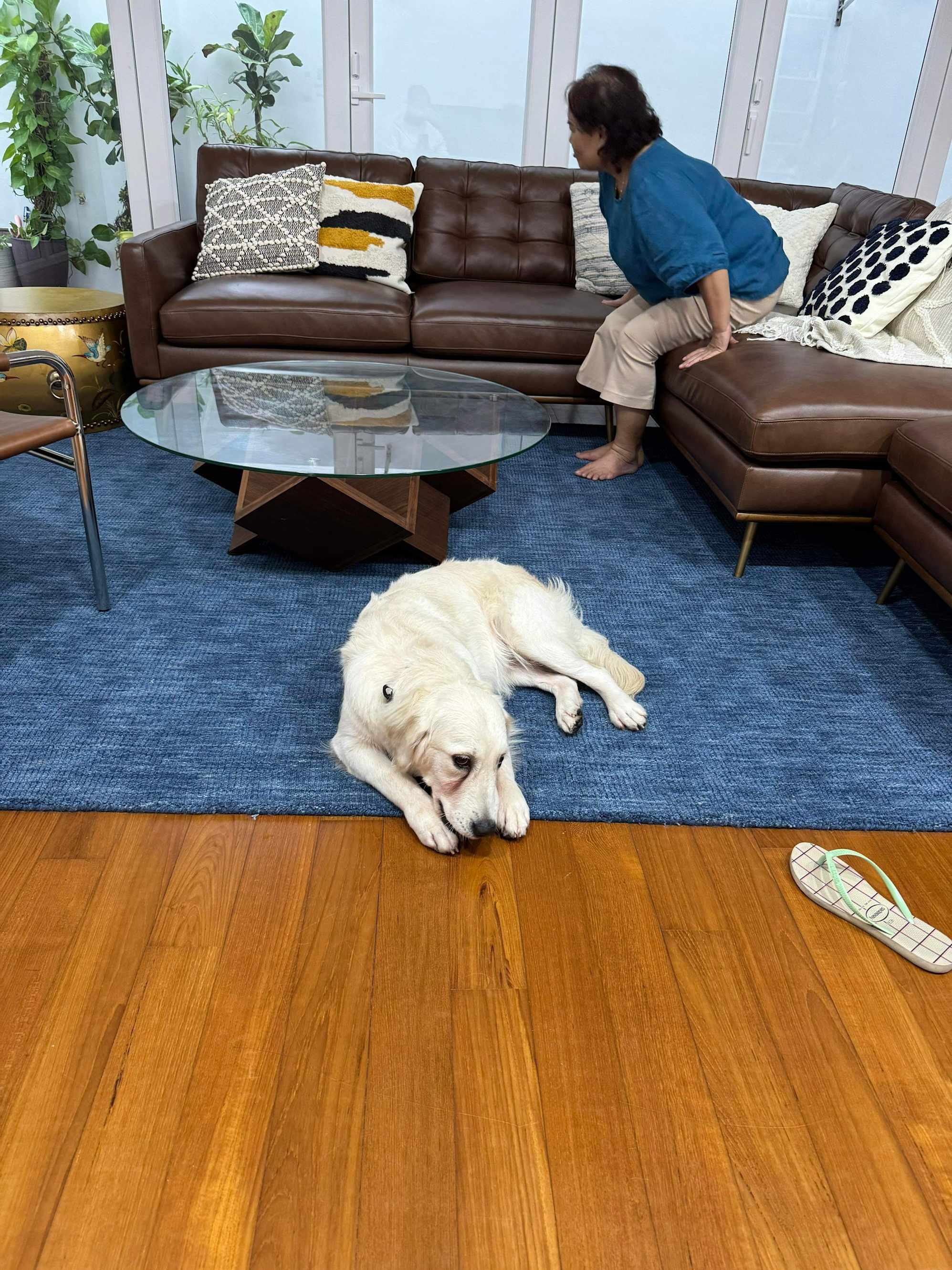 Very fine quality rug