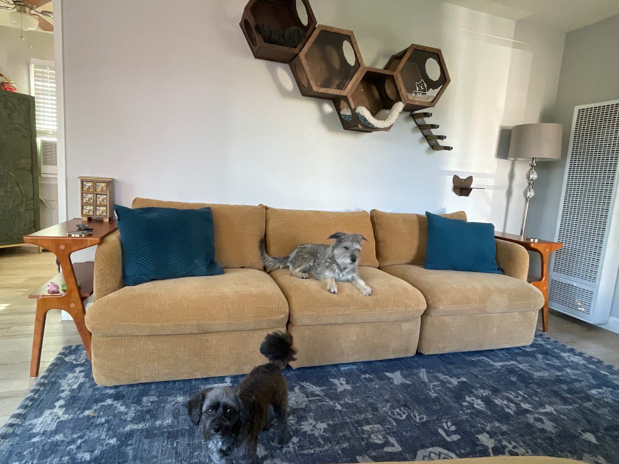 Ollie storage couch 