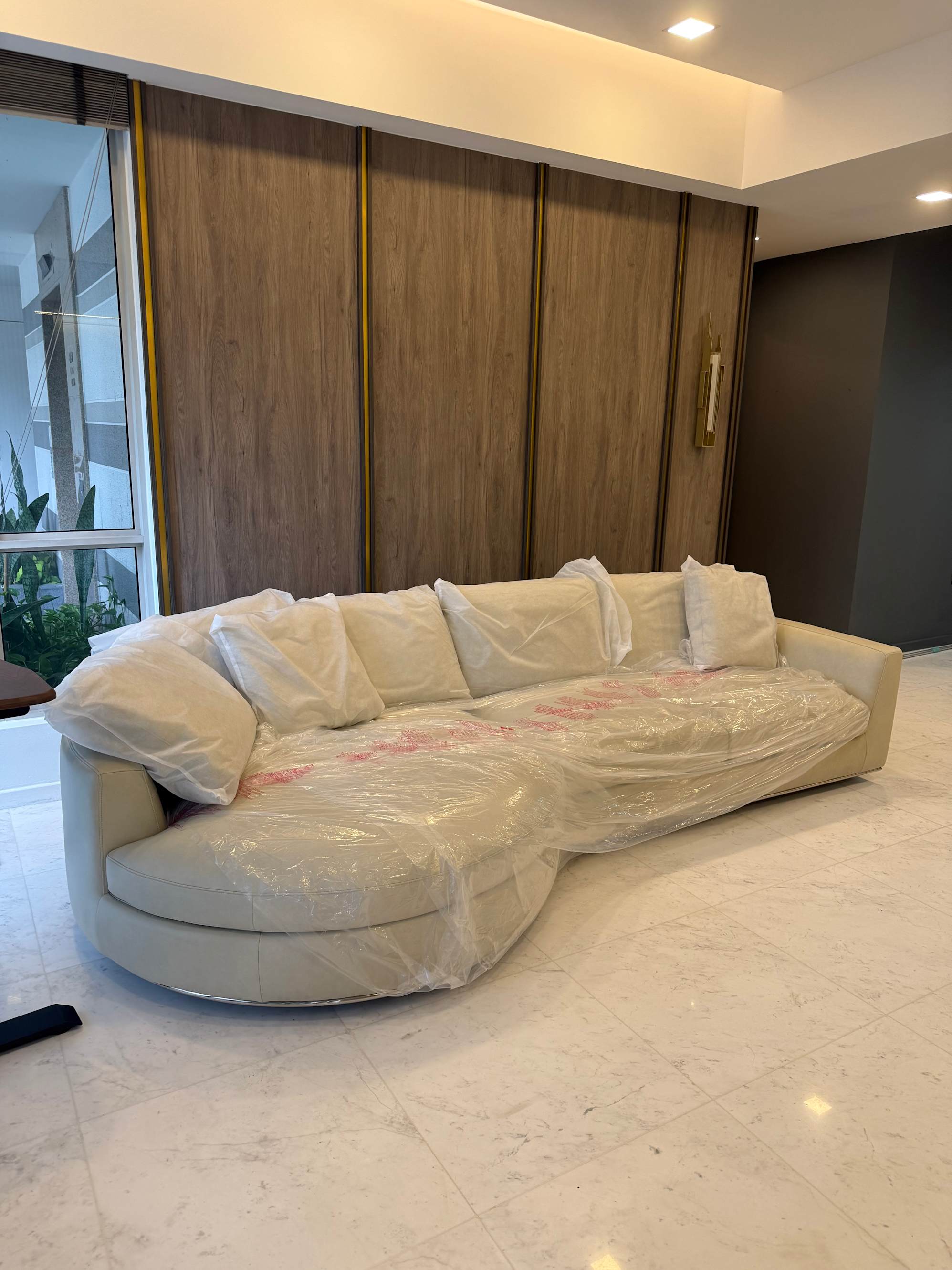Elegant couch