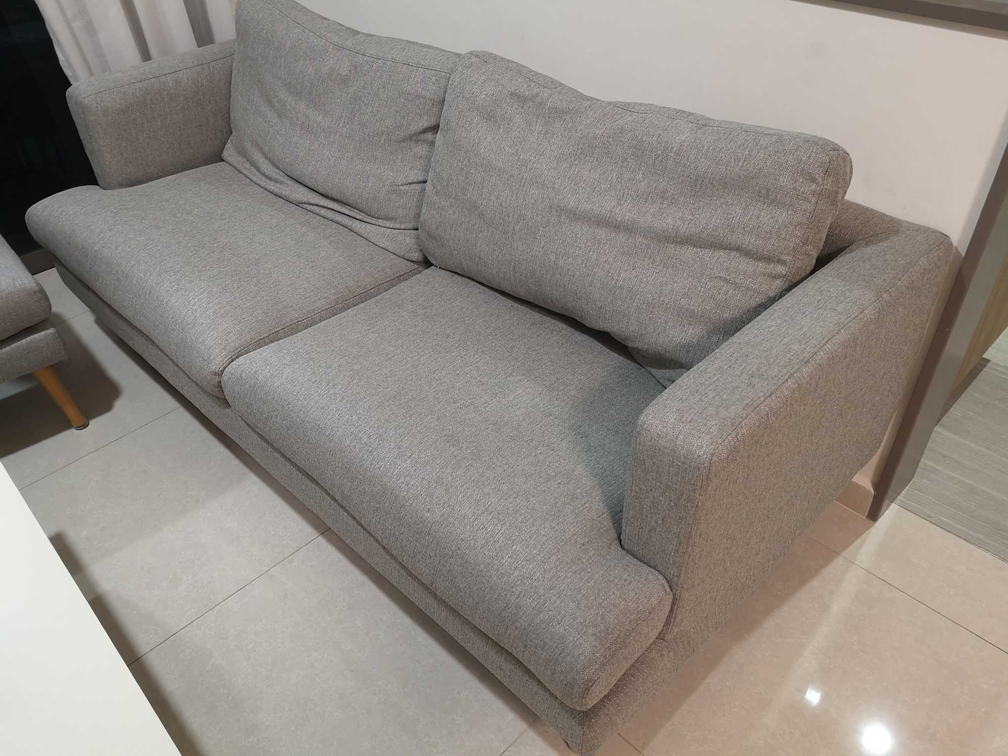 review from Great Replacement / Spare
