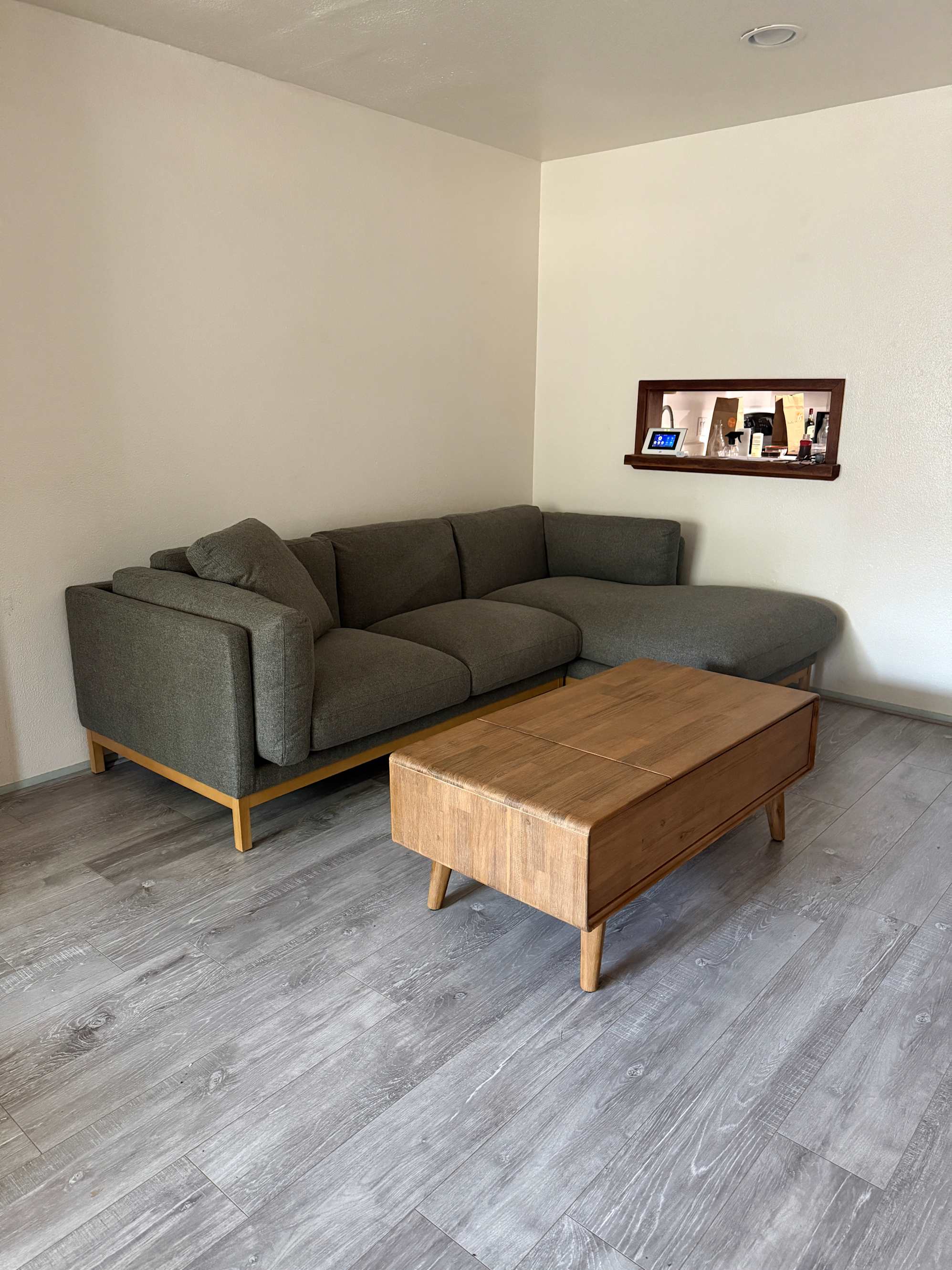 The Perfect Asset for A Living Room