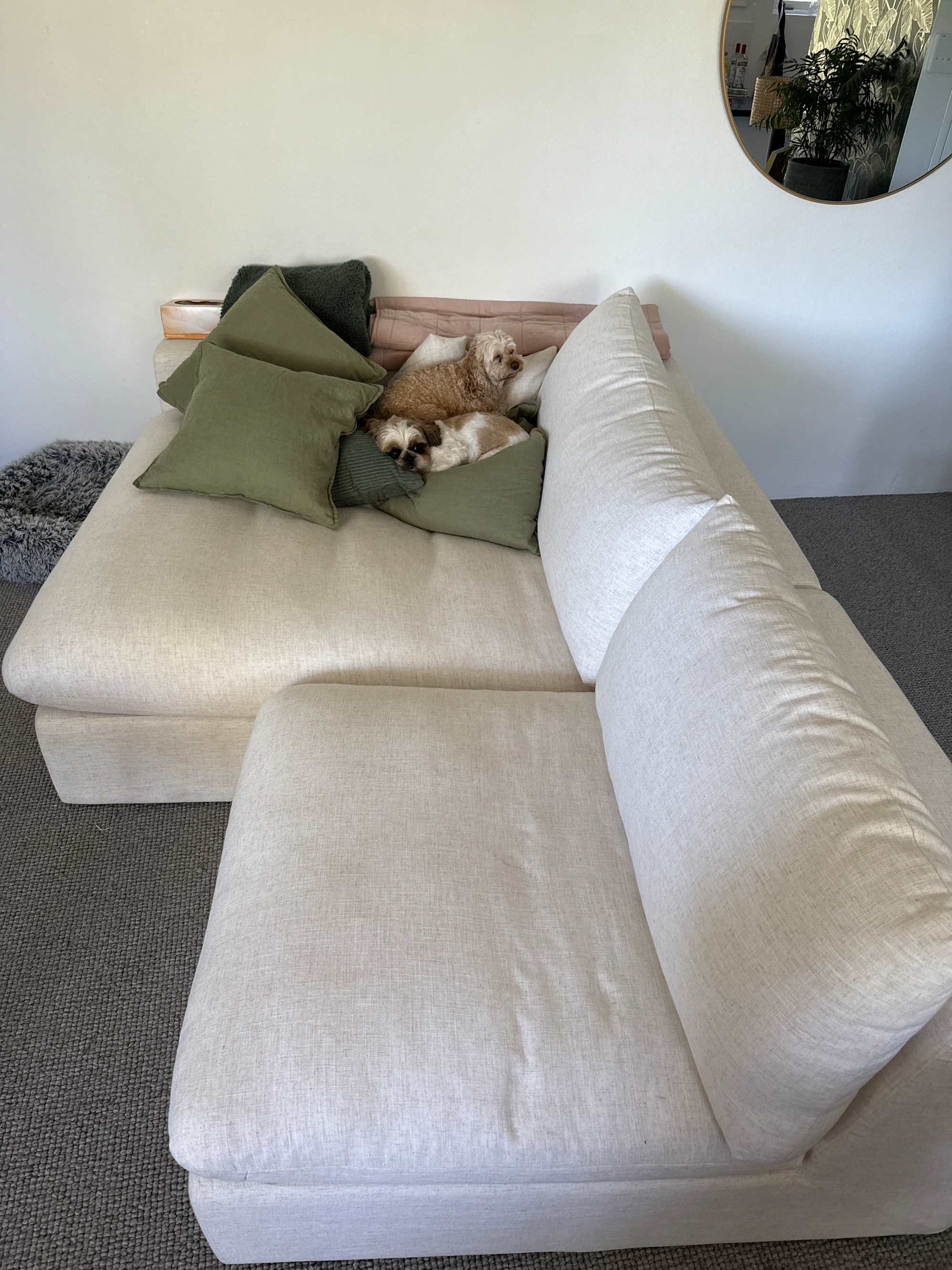 Absolutely love my Castlery Dawson Sofa!