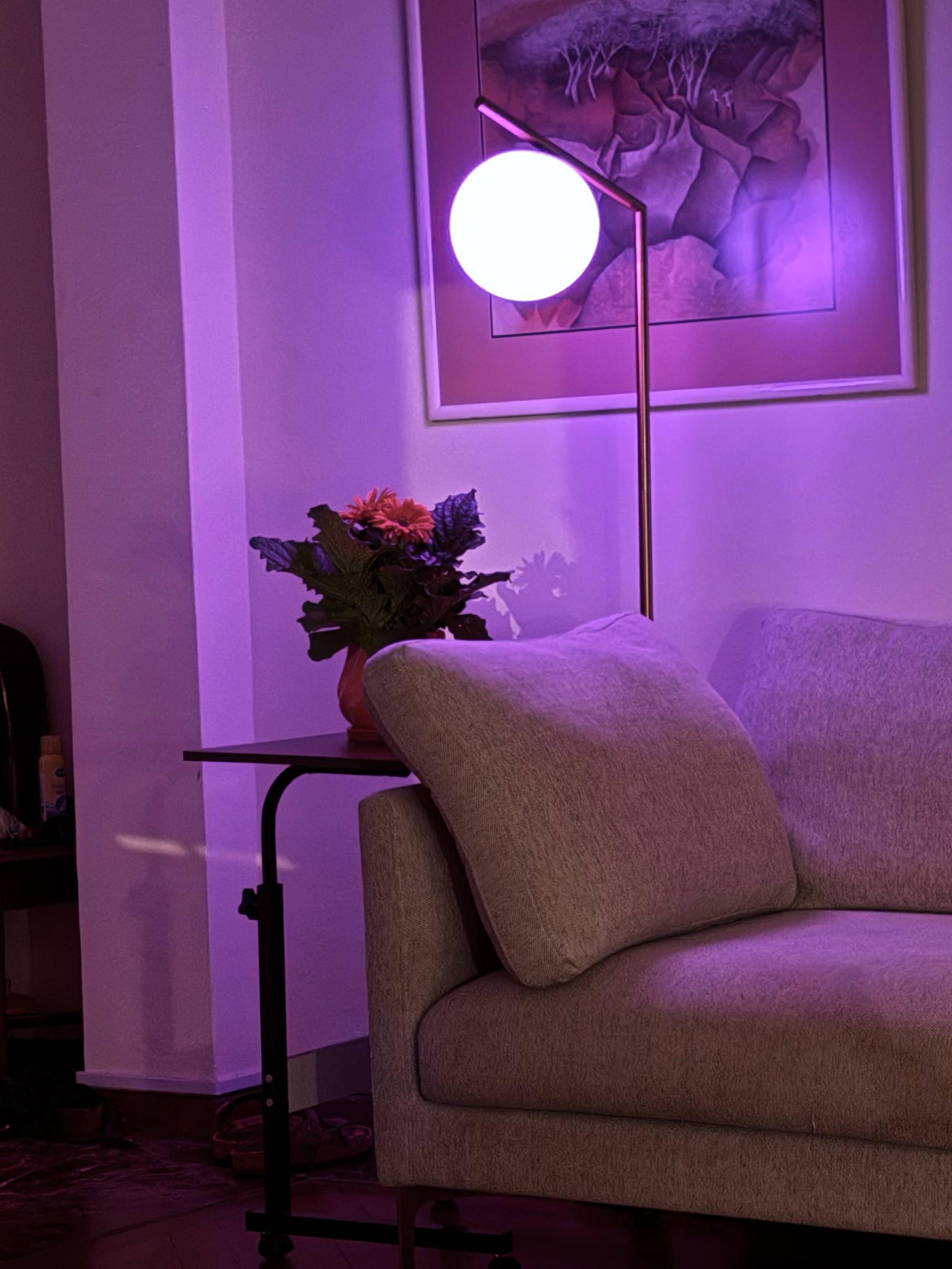 Stylish and cozy lighting