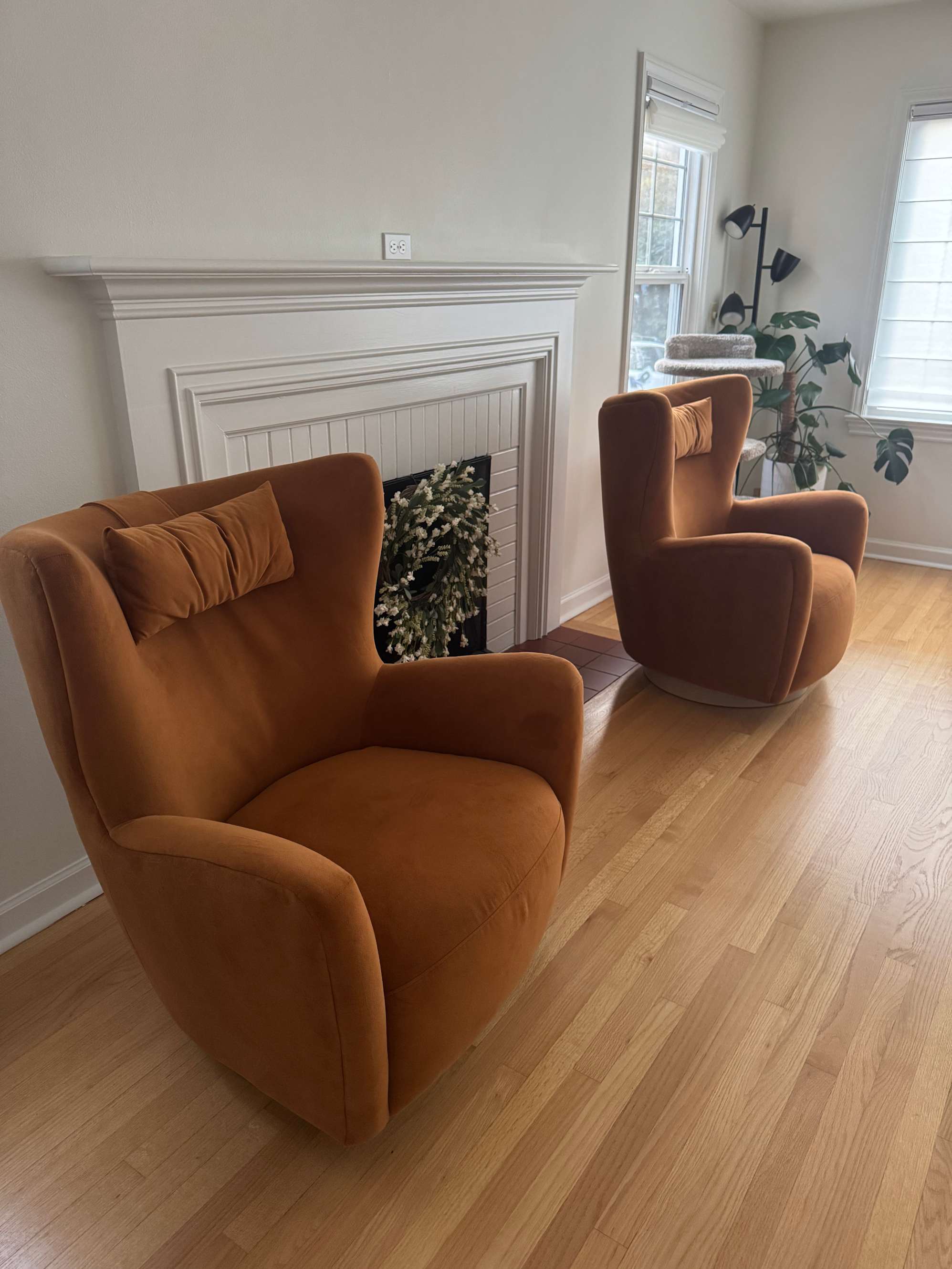 Stunning chairs! 