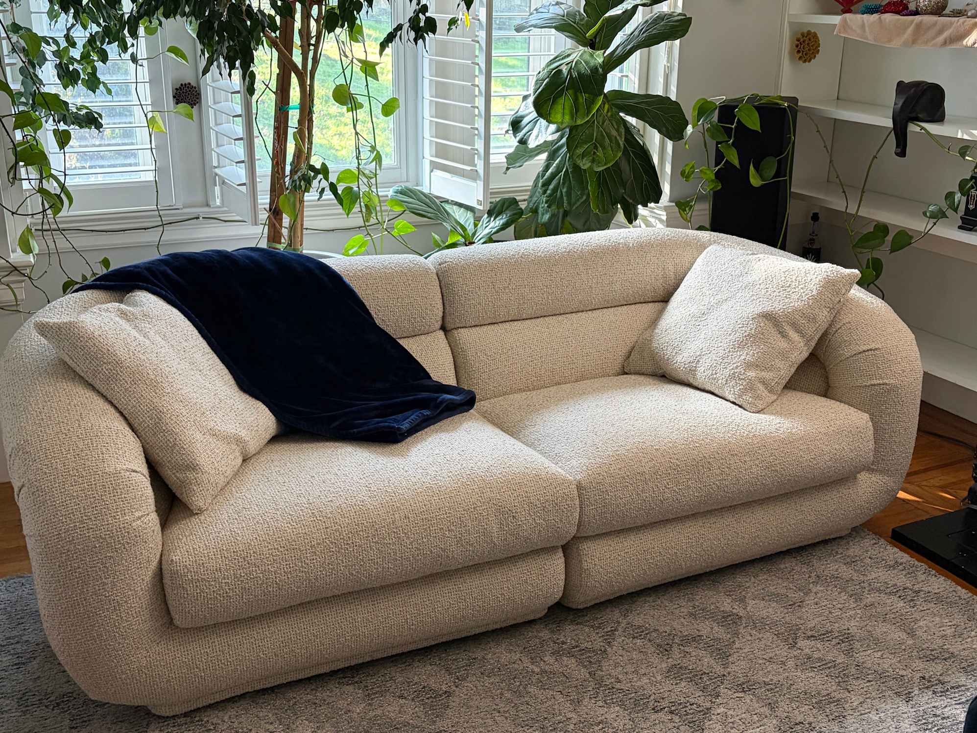 The Couch I Want to Marry!