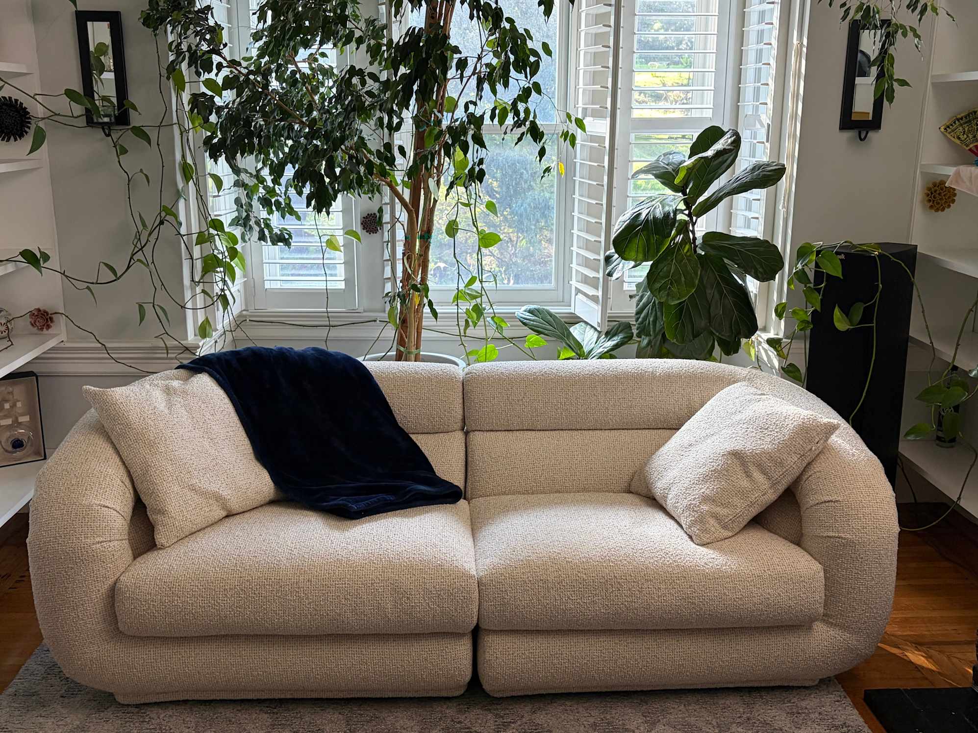 The Couch I Want to Marry!