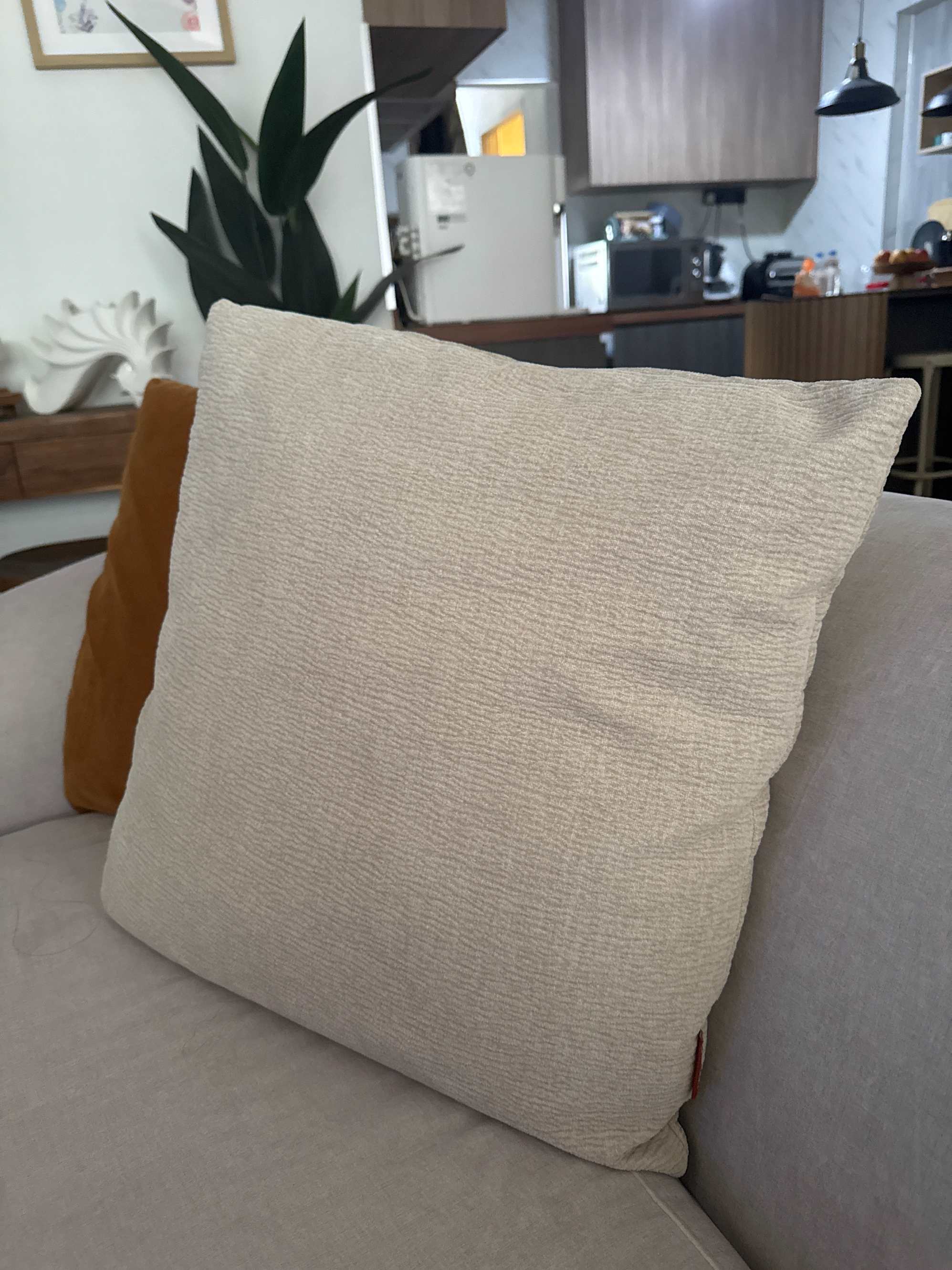 Vermont Cushion Oyster