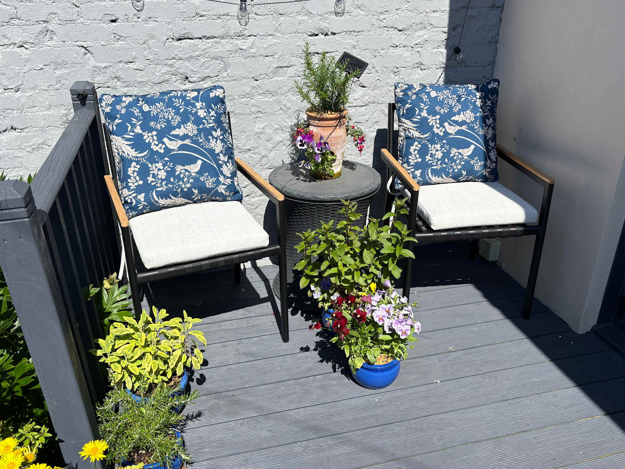 Sun Trap Chairs! 