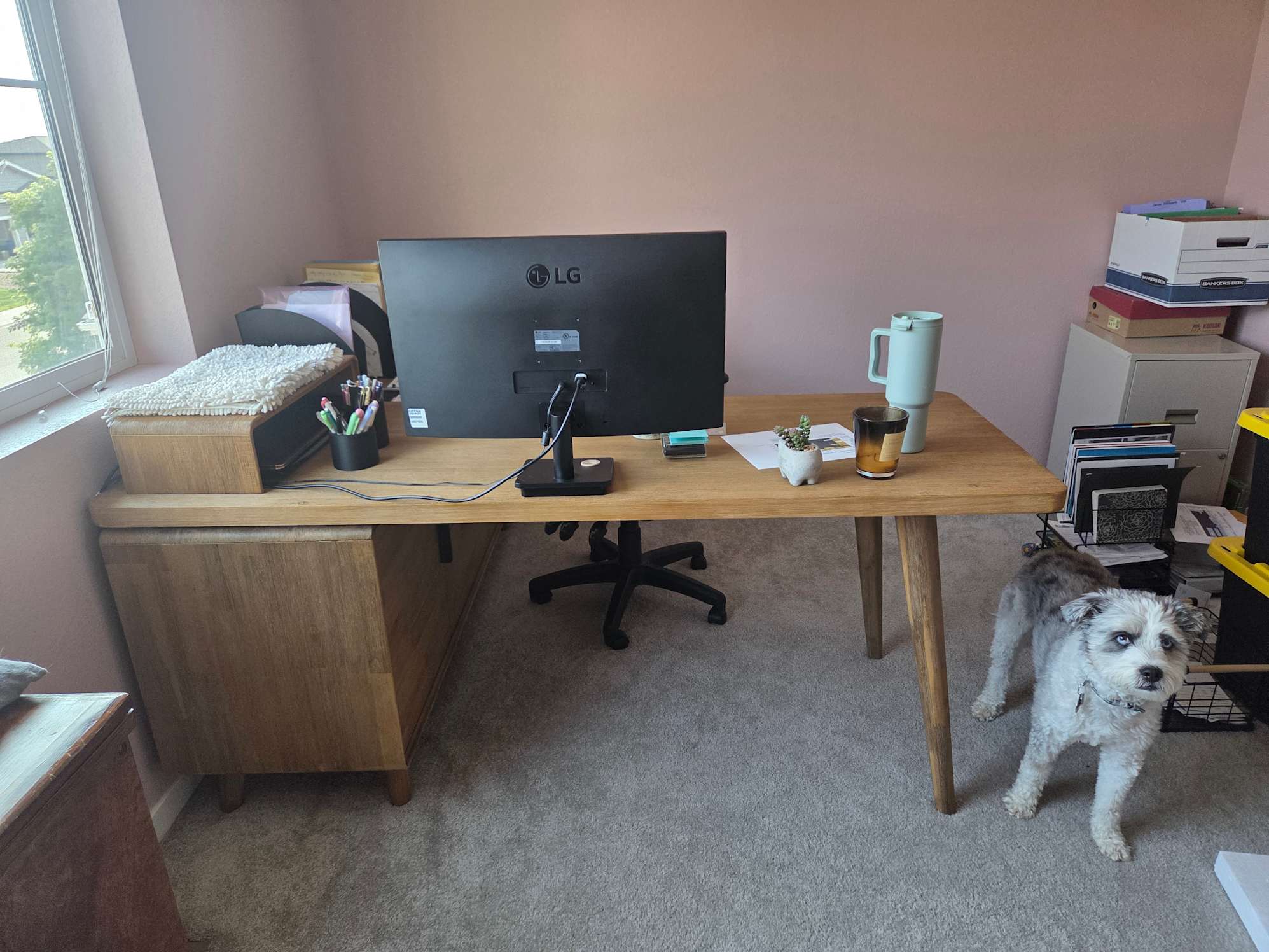 Beautiful Desk! (cat approved)