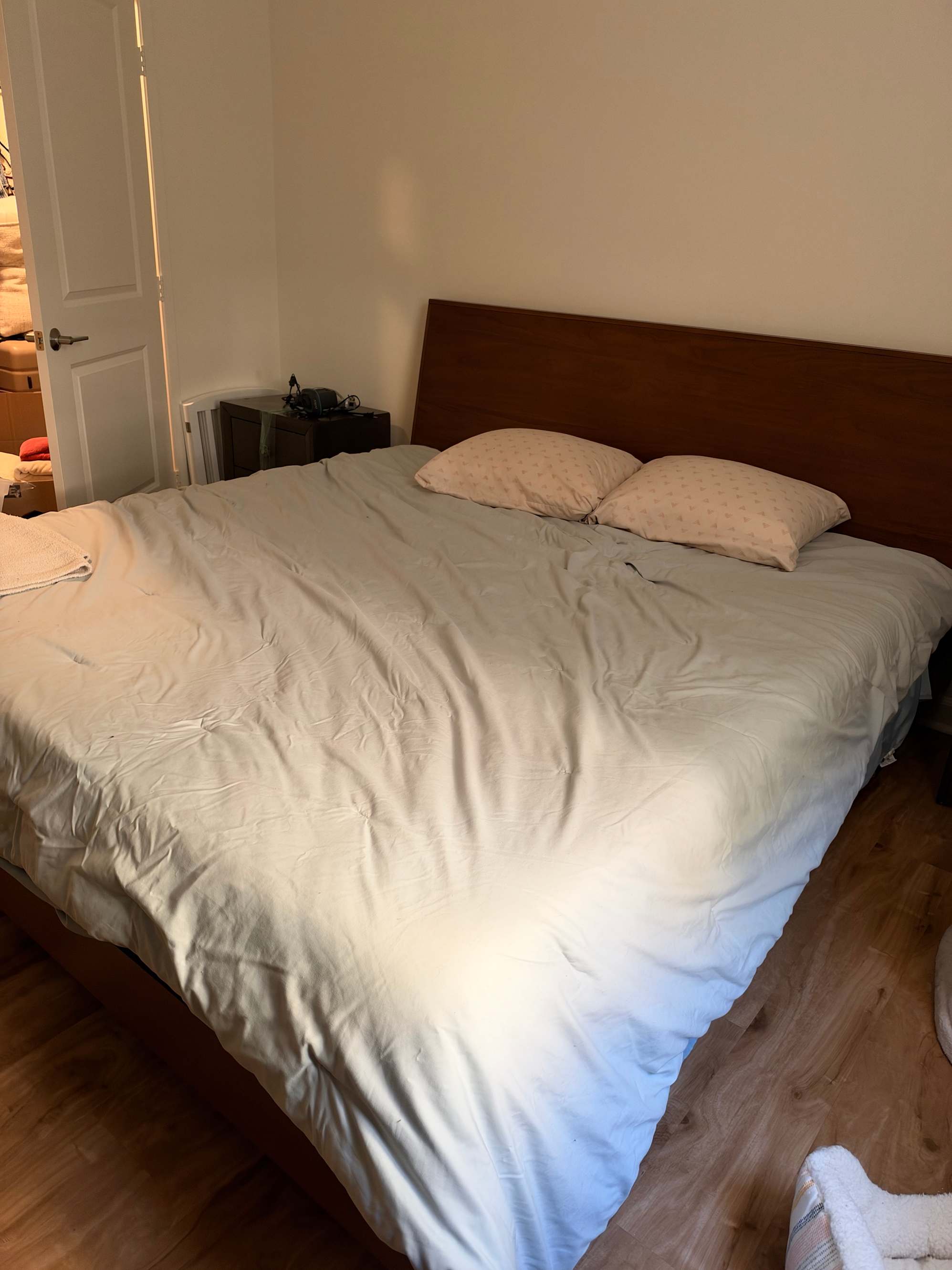 Love my new bed!