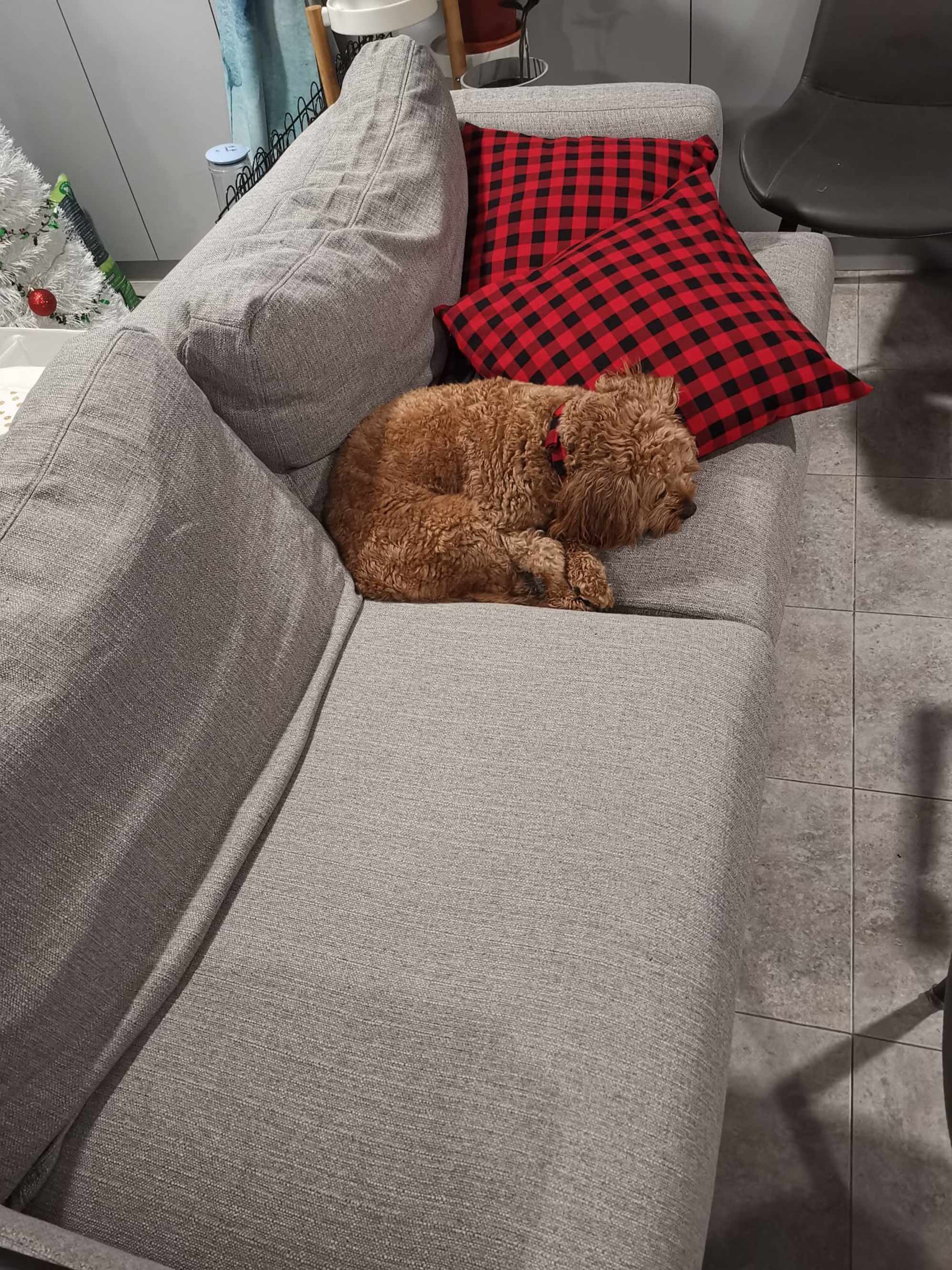 comfortable