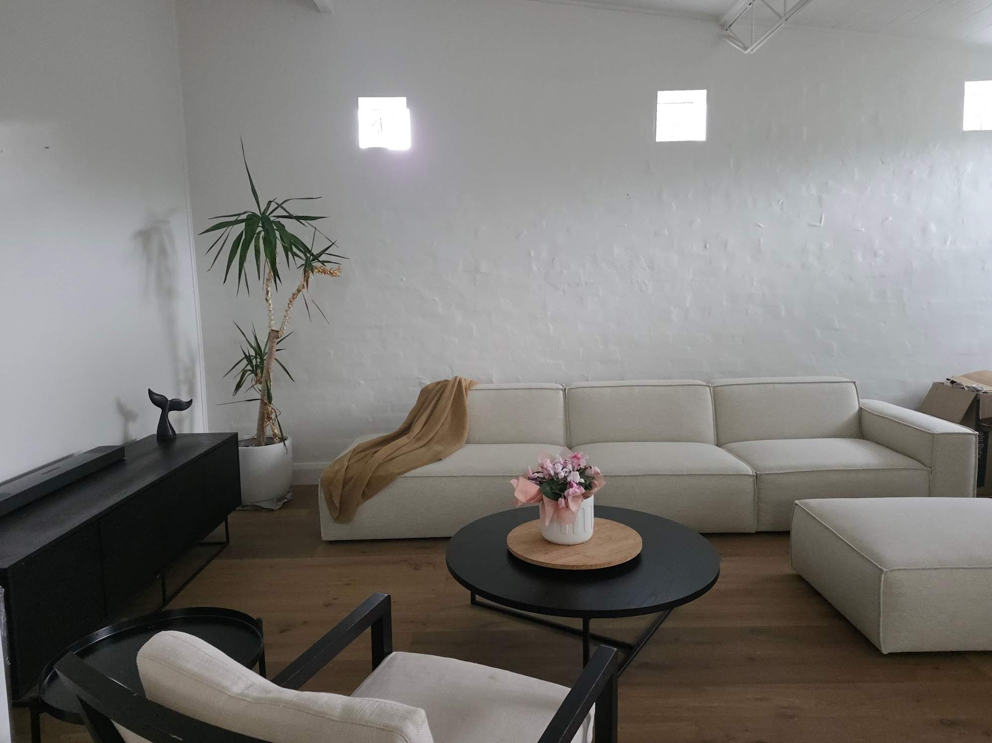 Modern and comfortable
