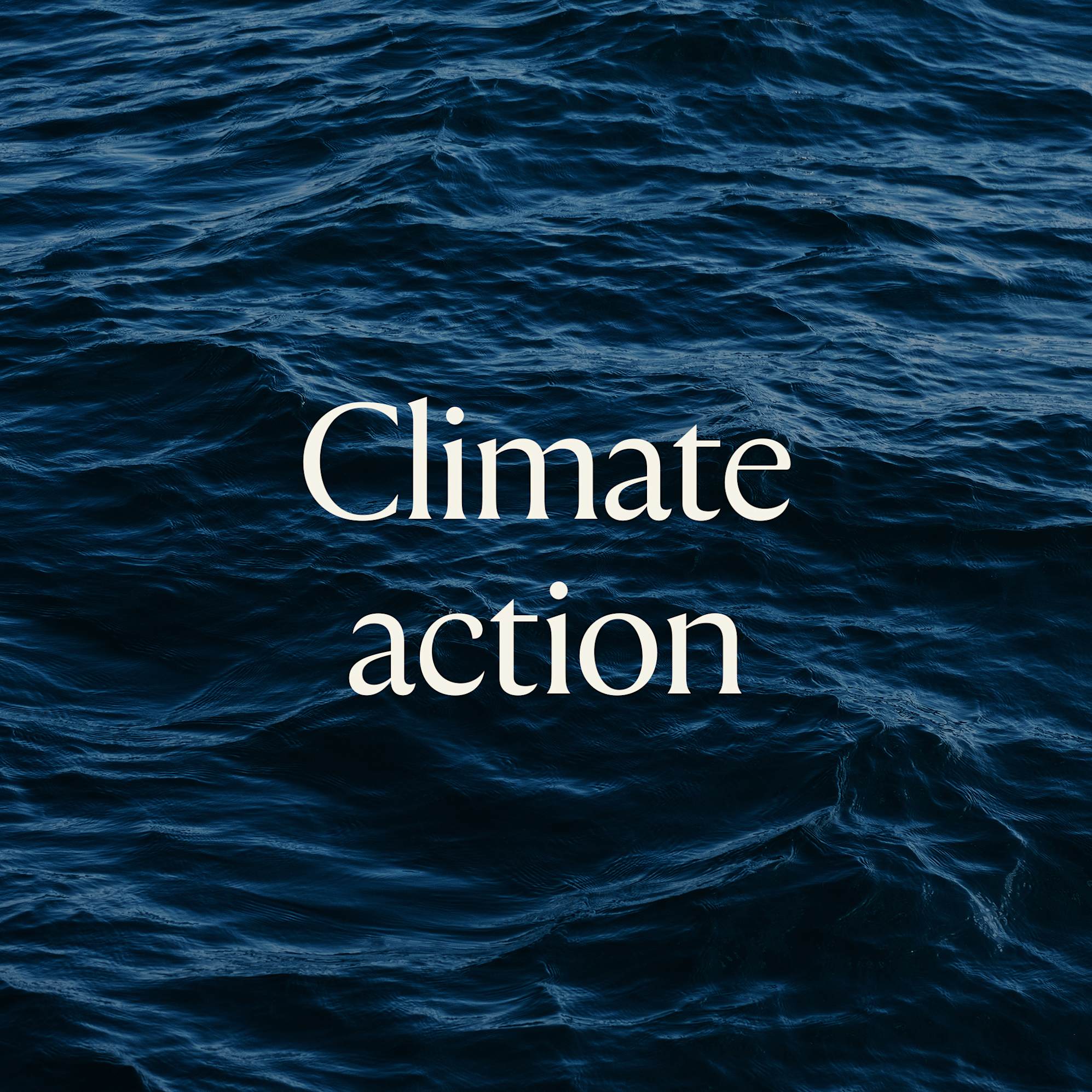 Climate Action