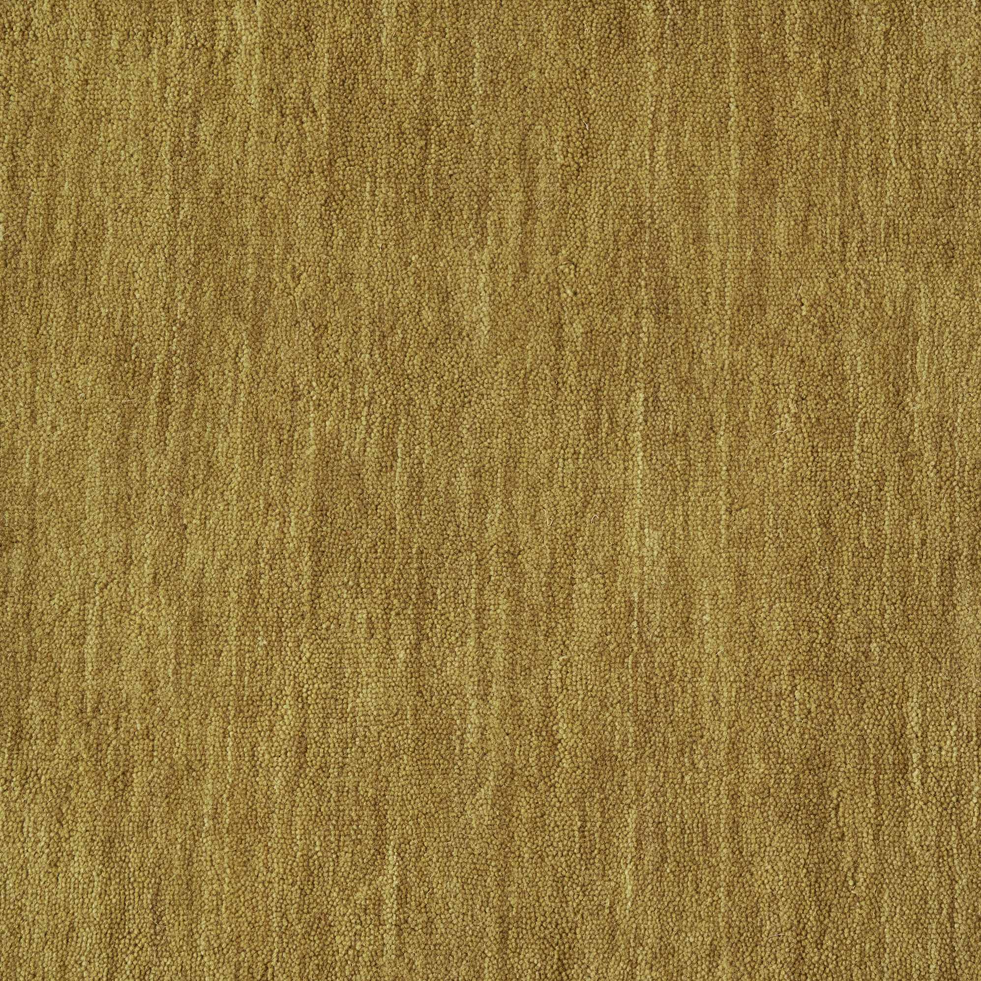 Sahara