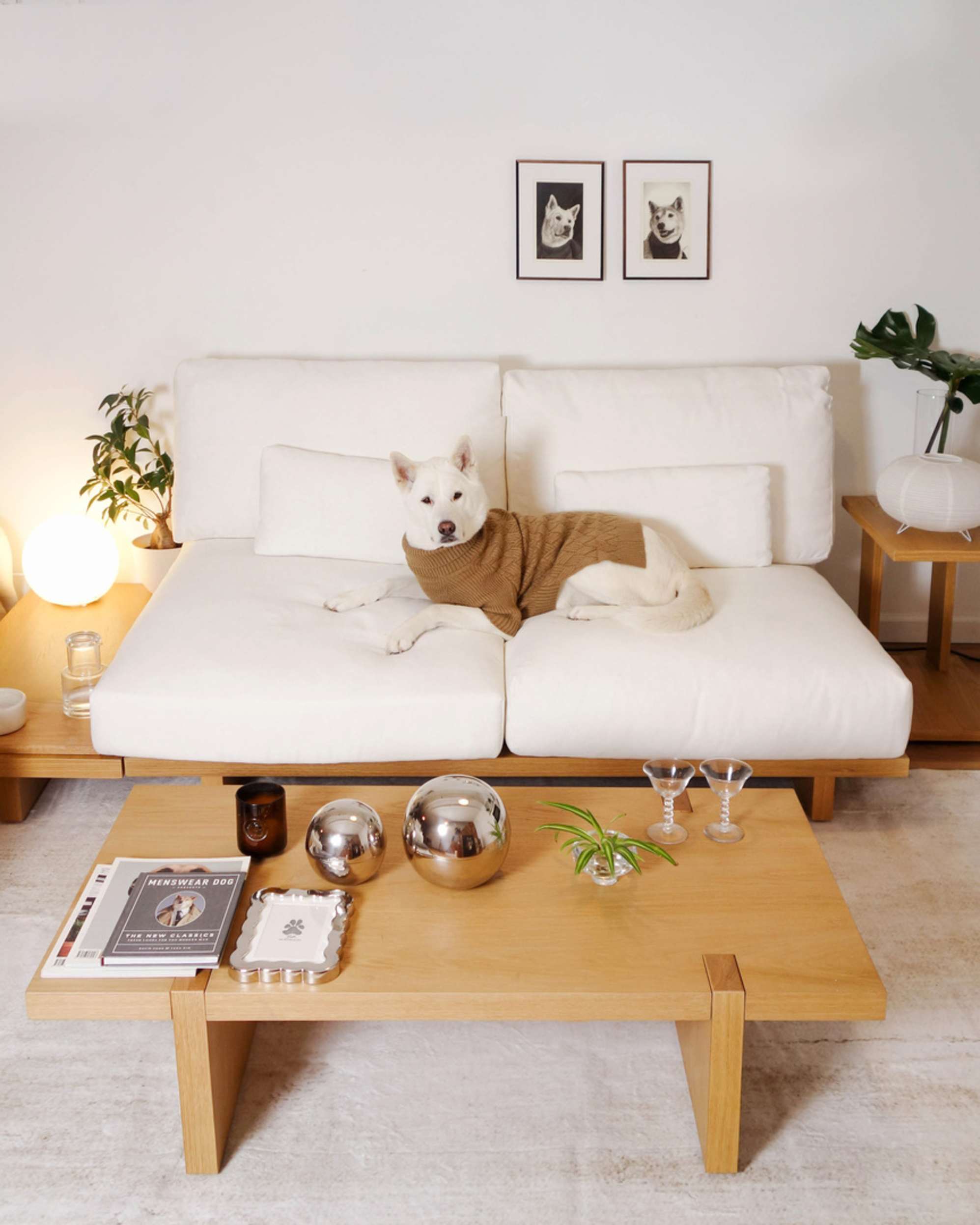 A wooden coffee table placed in front of a sofa with a dog lying down on it.