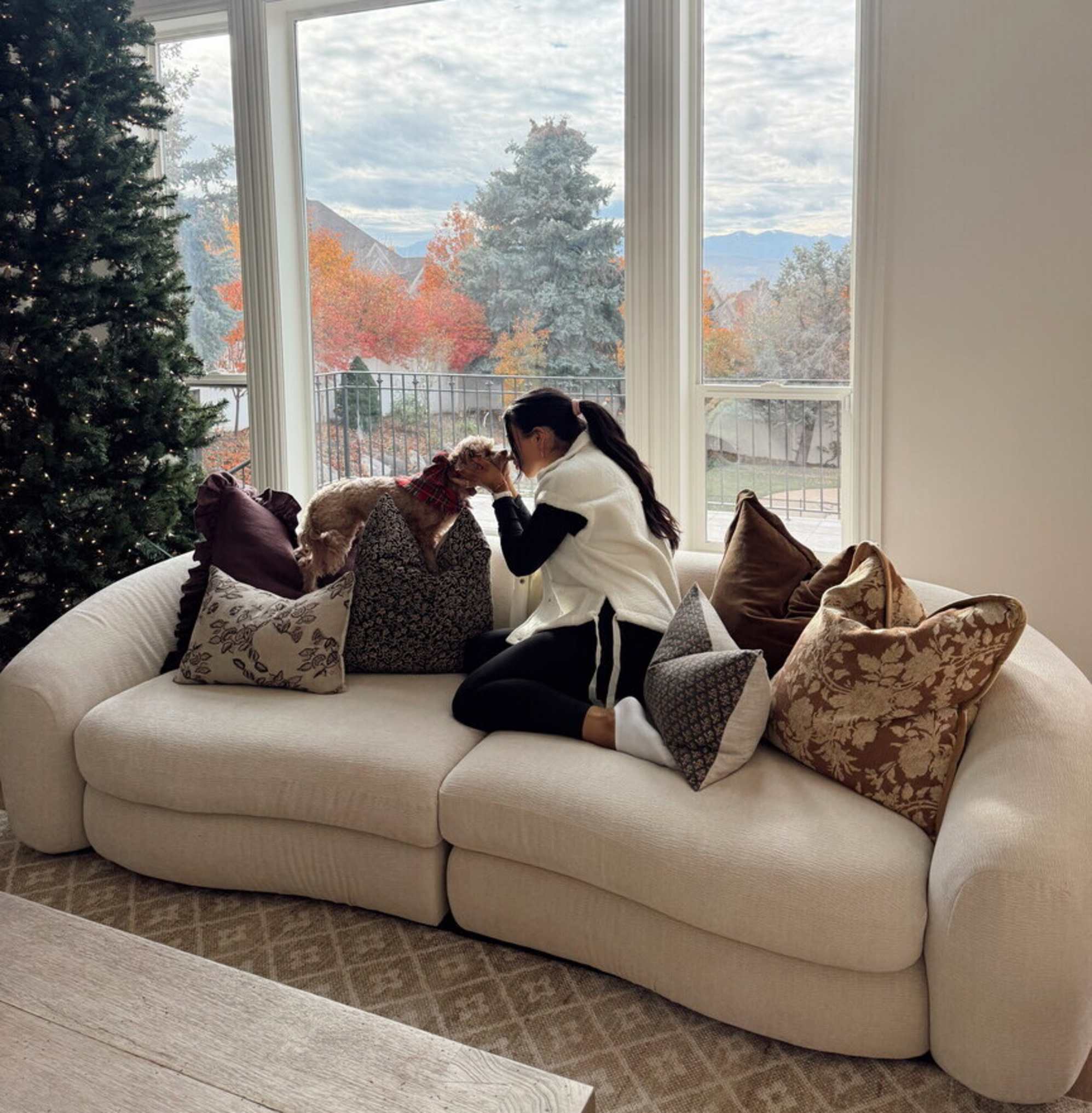 A person and her dog on a performance fabric sofa.