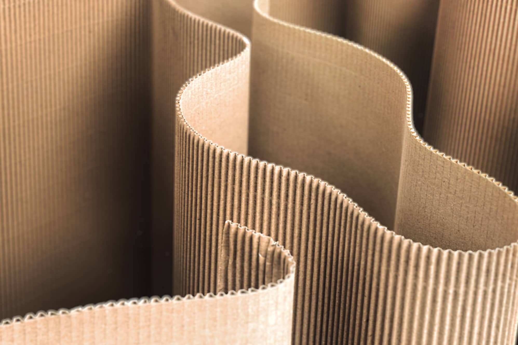 Cardboard packaging.