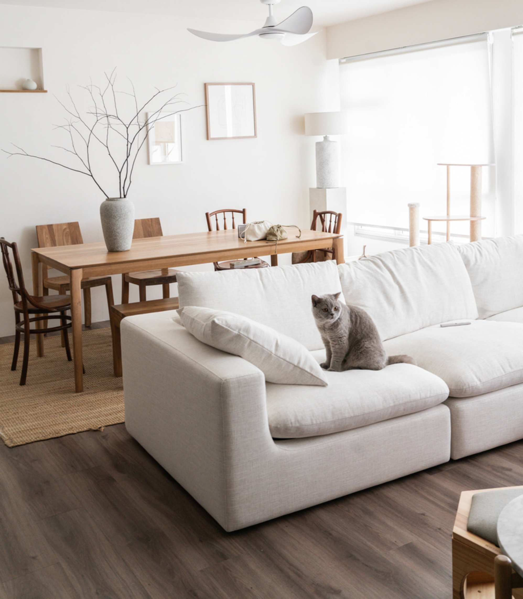  A cat sitting on a white sofa with a wooden dining table set placed behind the sofa. 