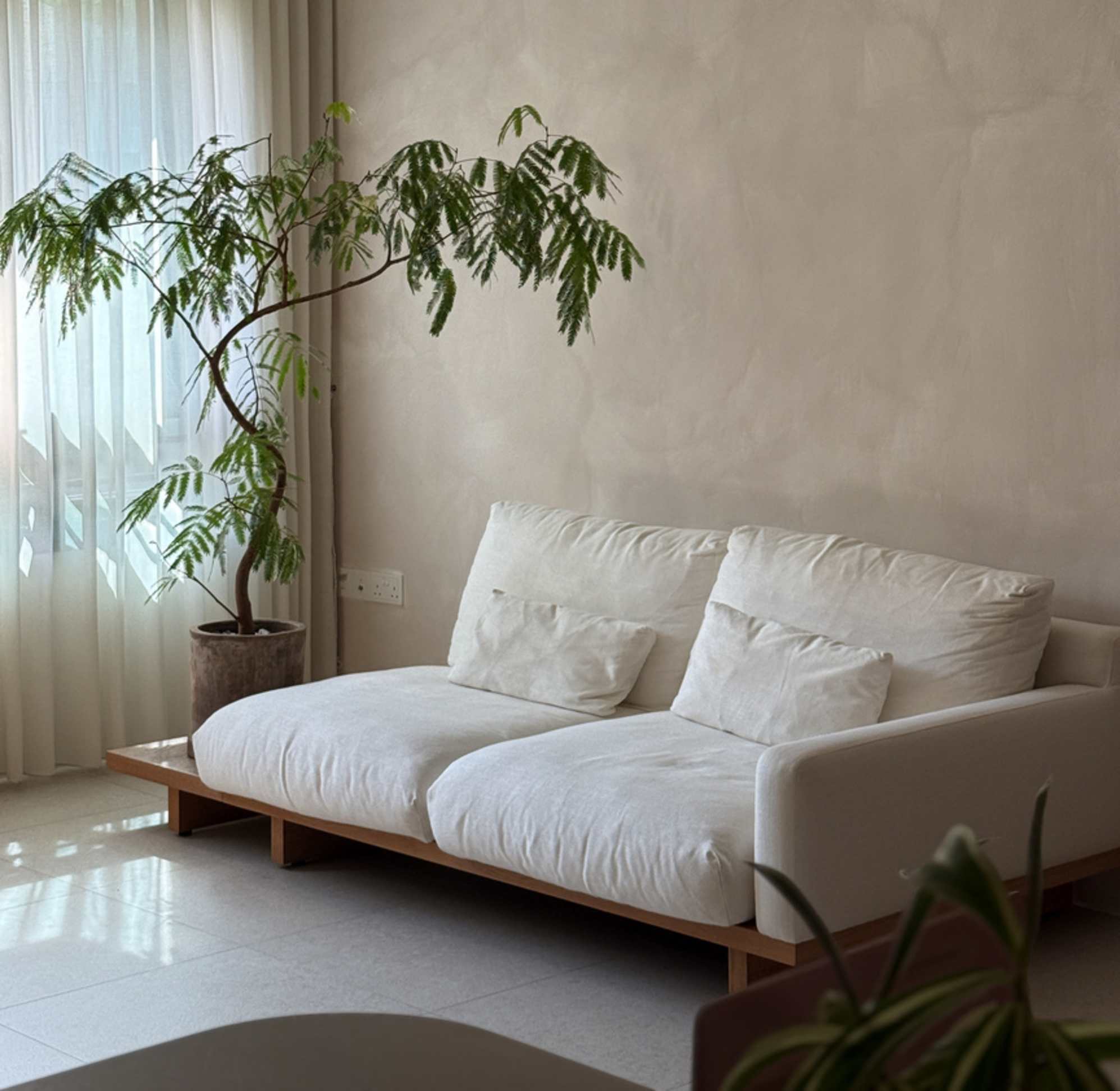 A single arm 2-seater sofa with a large plant placed on a matching side table.