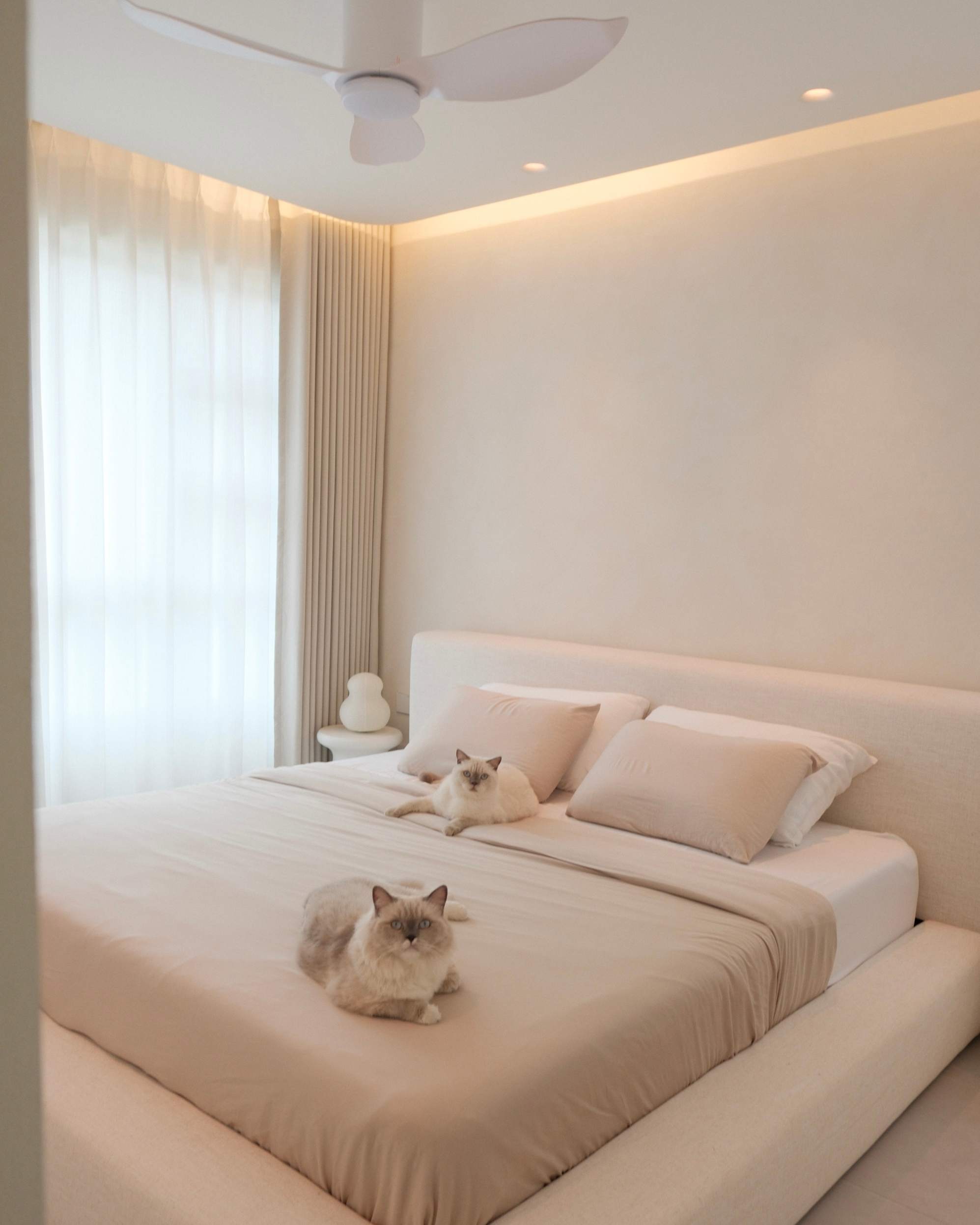 A white bed