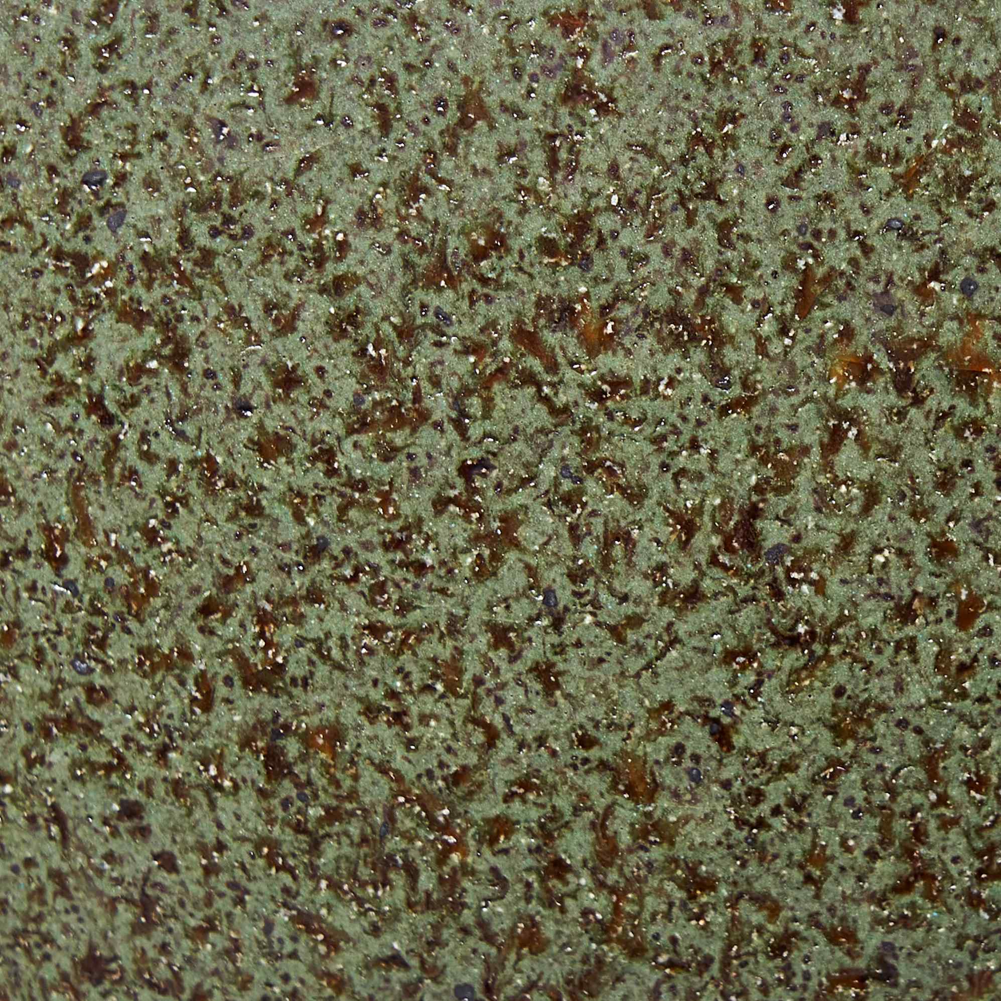 Moss