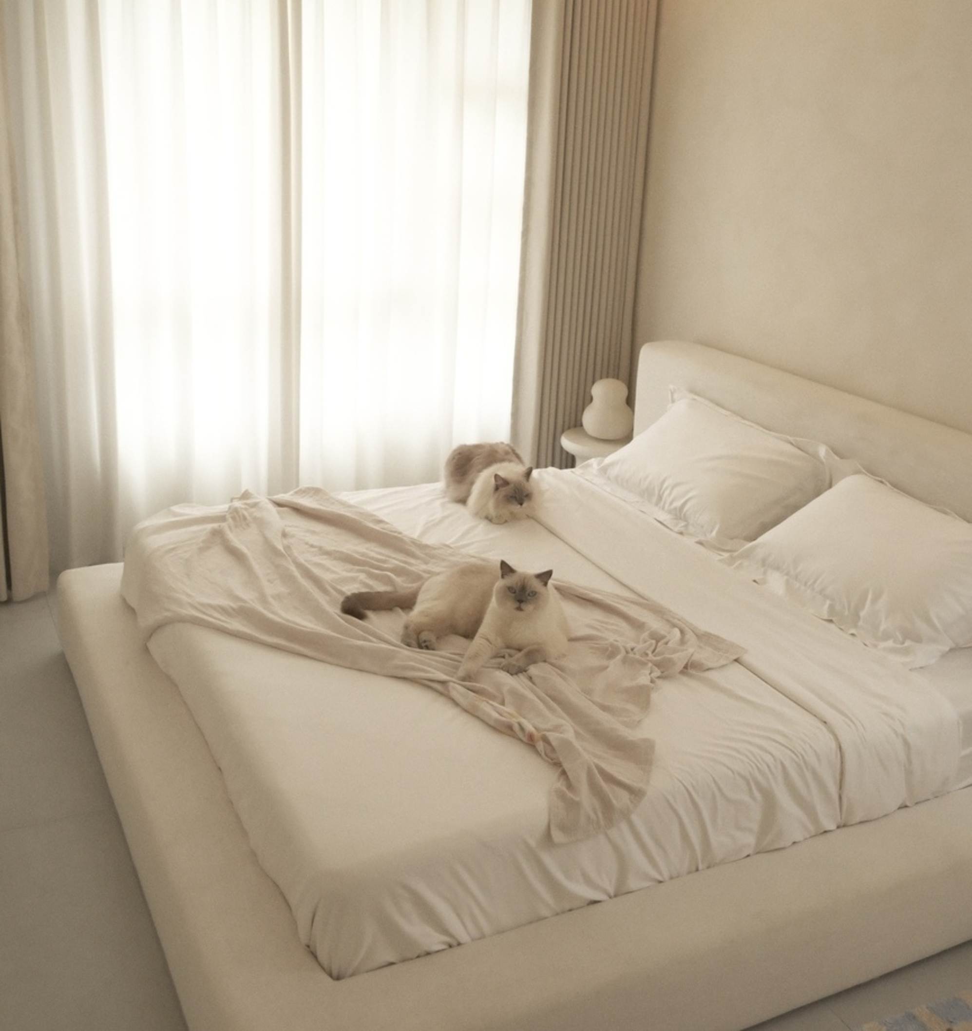 Two cats sitting on a bed with a beige throw.