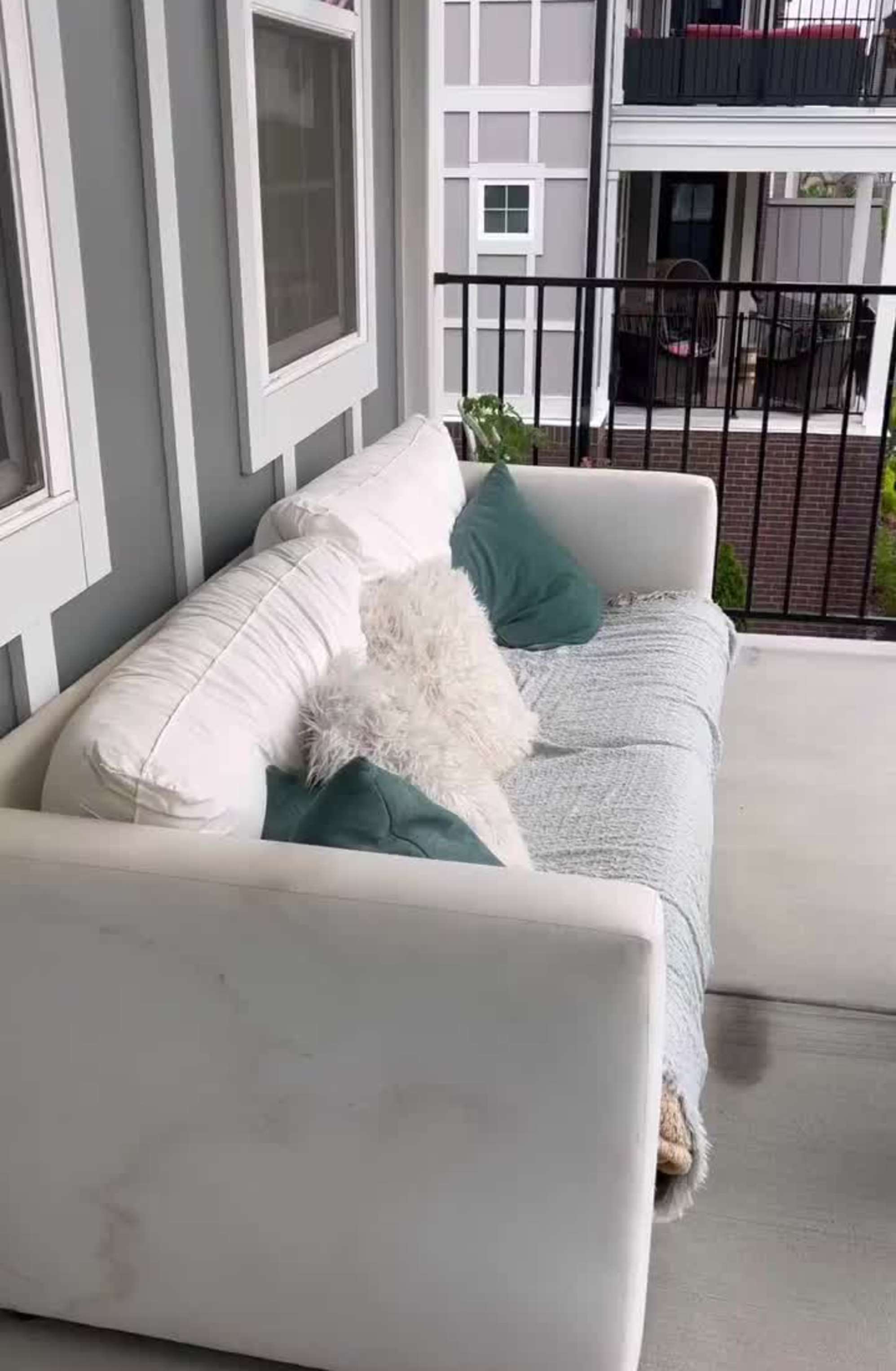 Instagram post by @ellendeckerr - 2165