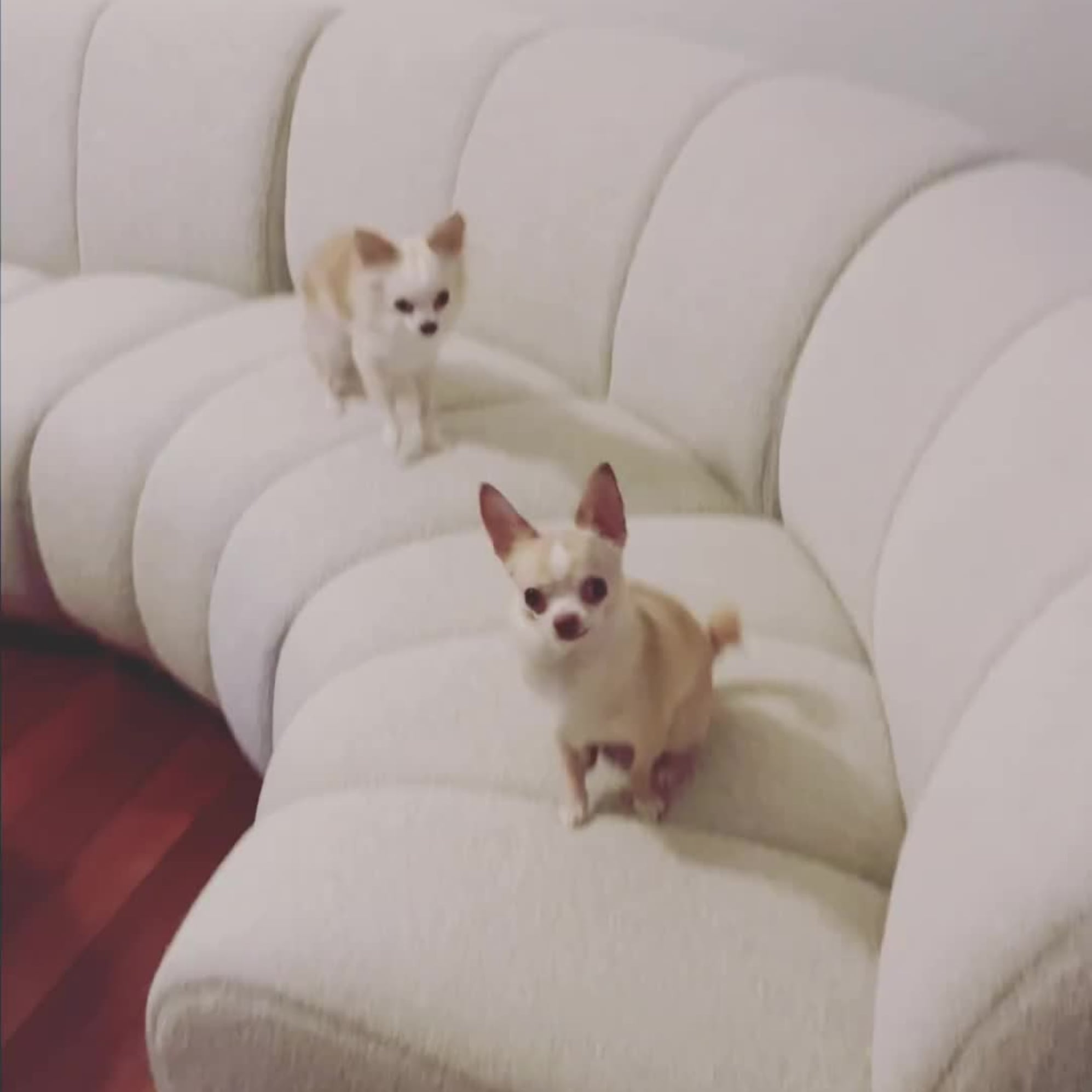 Instagram post by @angelamaryclaire - 622