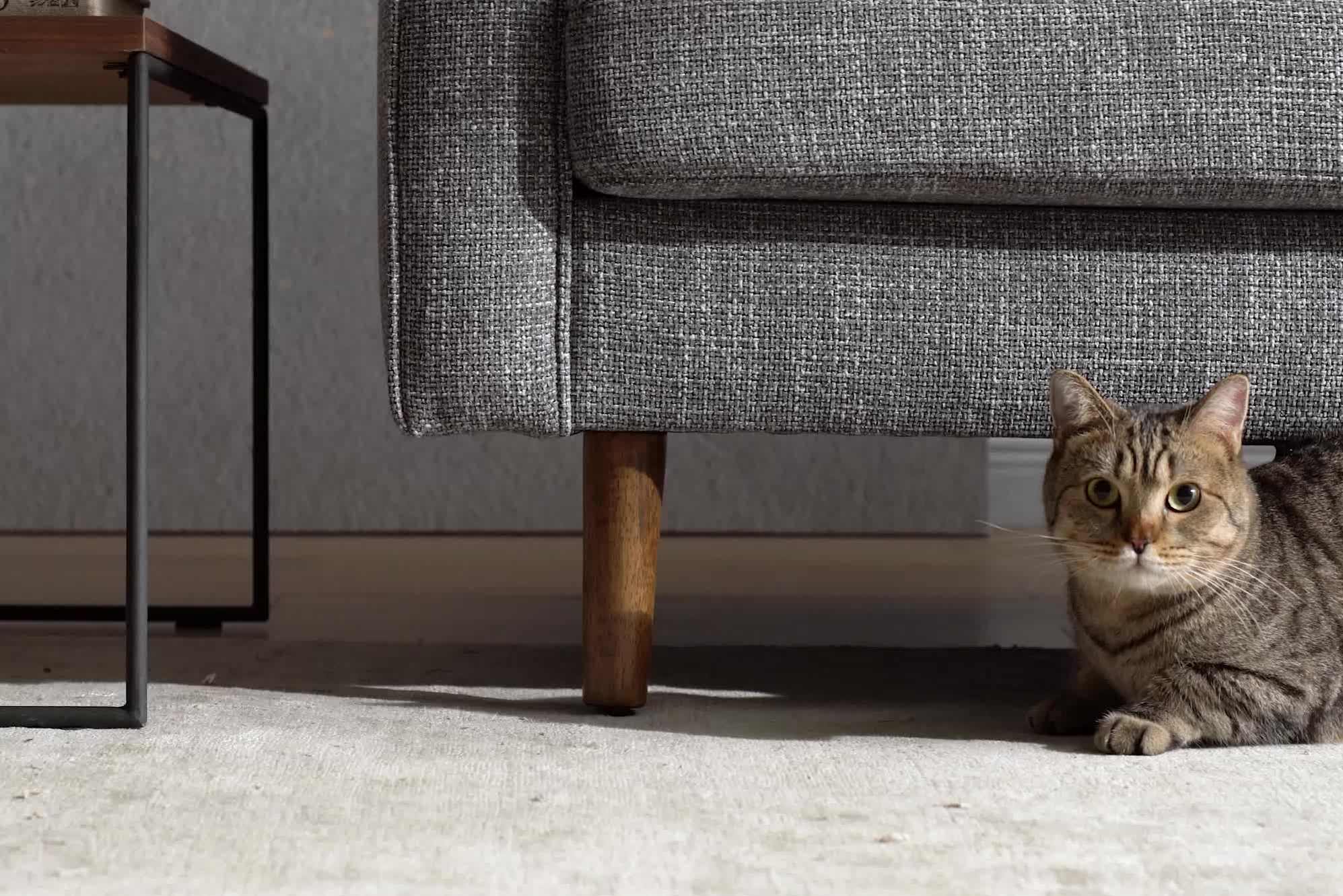 Madison Armchair 5