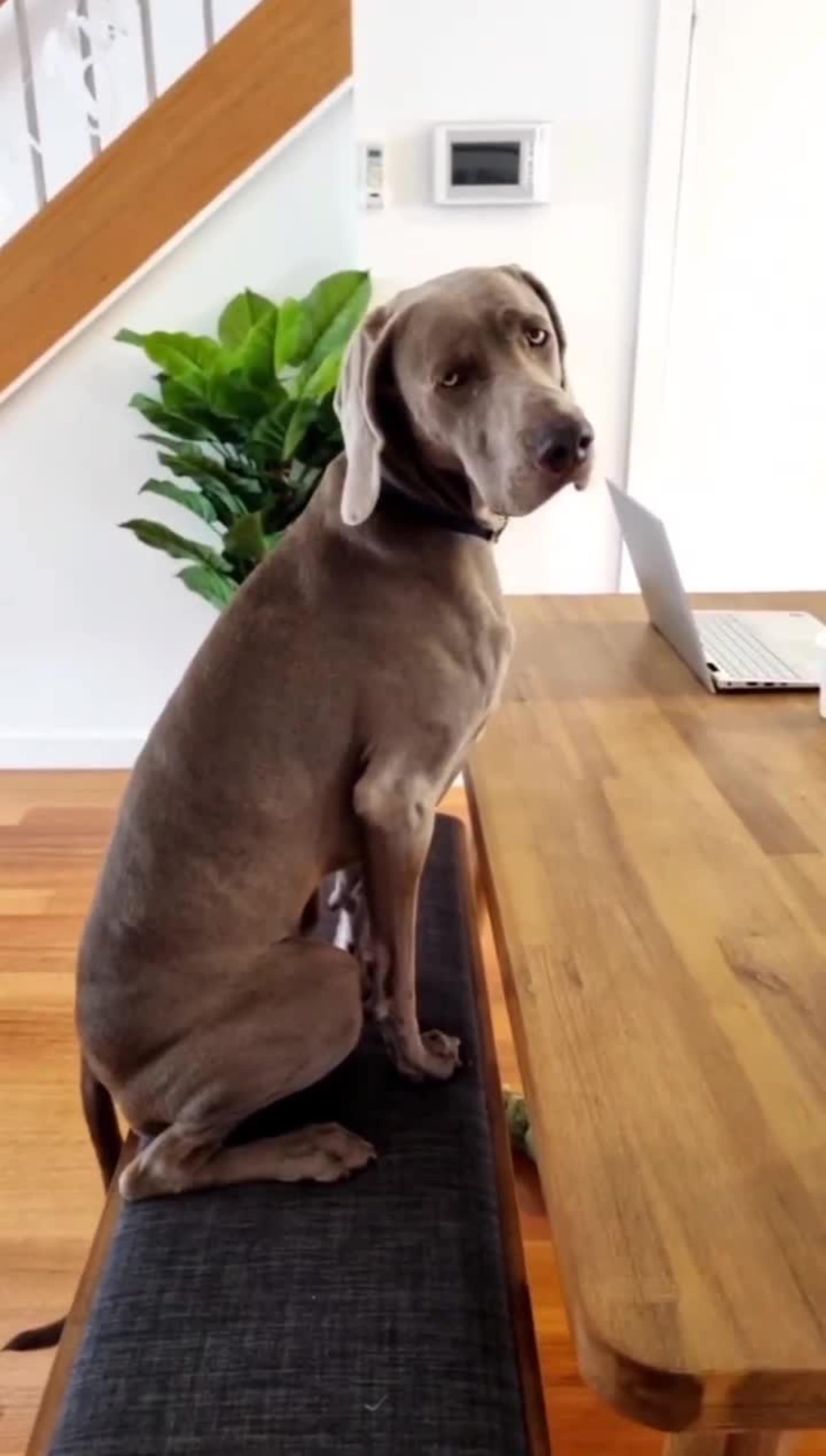 Seb Dining Table Set for 4-6