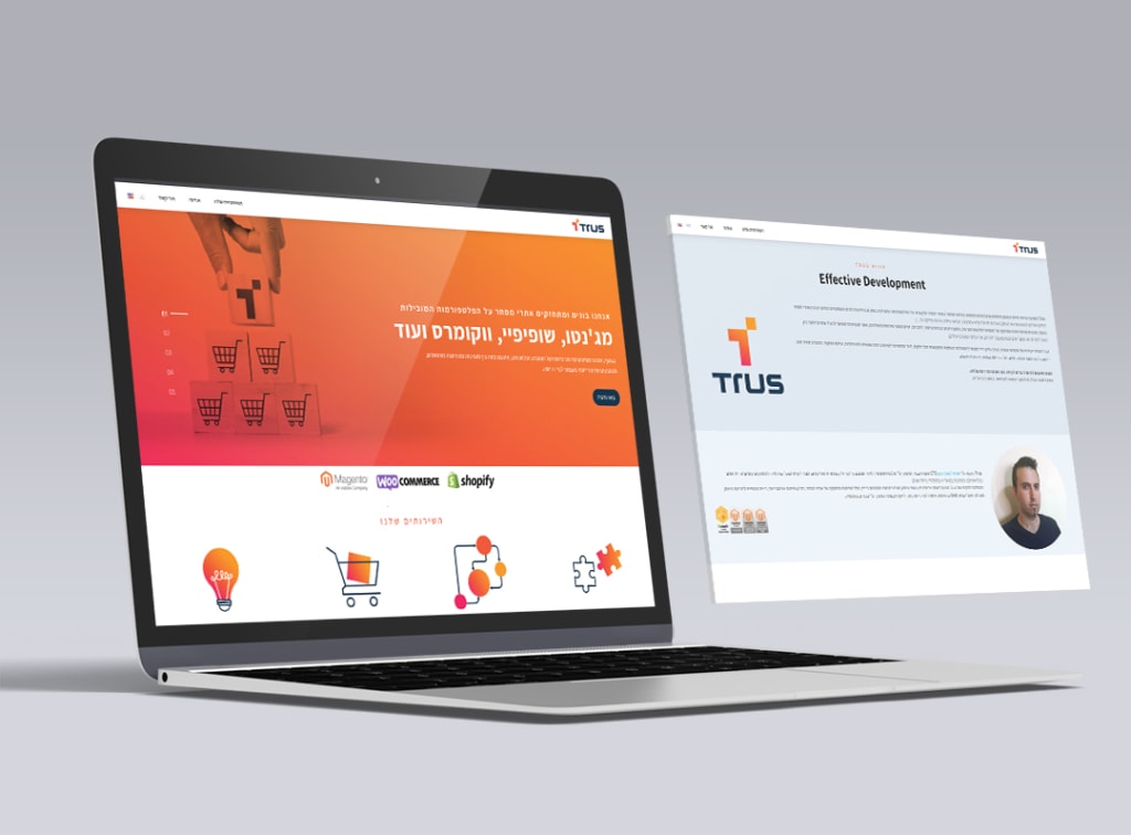 מיתוג, עיצוב אתרים, שפה גרפית