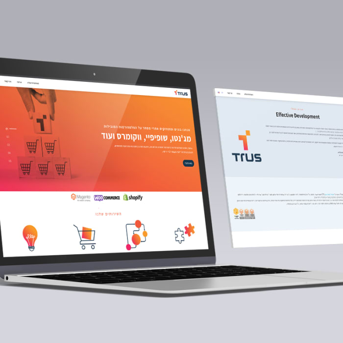 מיתוג, עיצוב אתרים, שפה גרפית