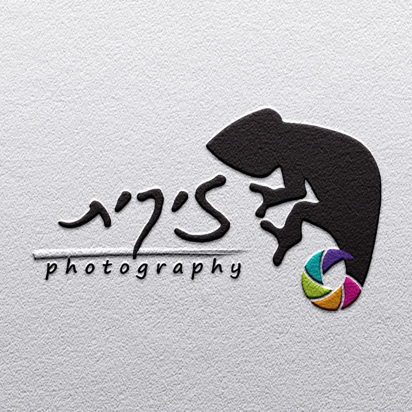 עיצוב לוגו, עיצוב גרפי