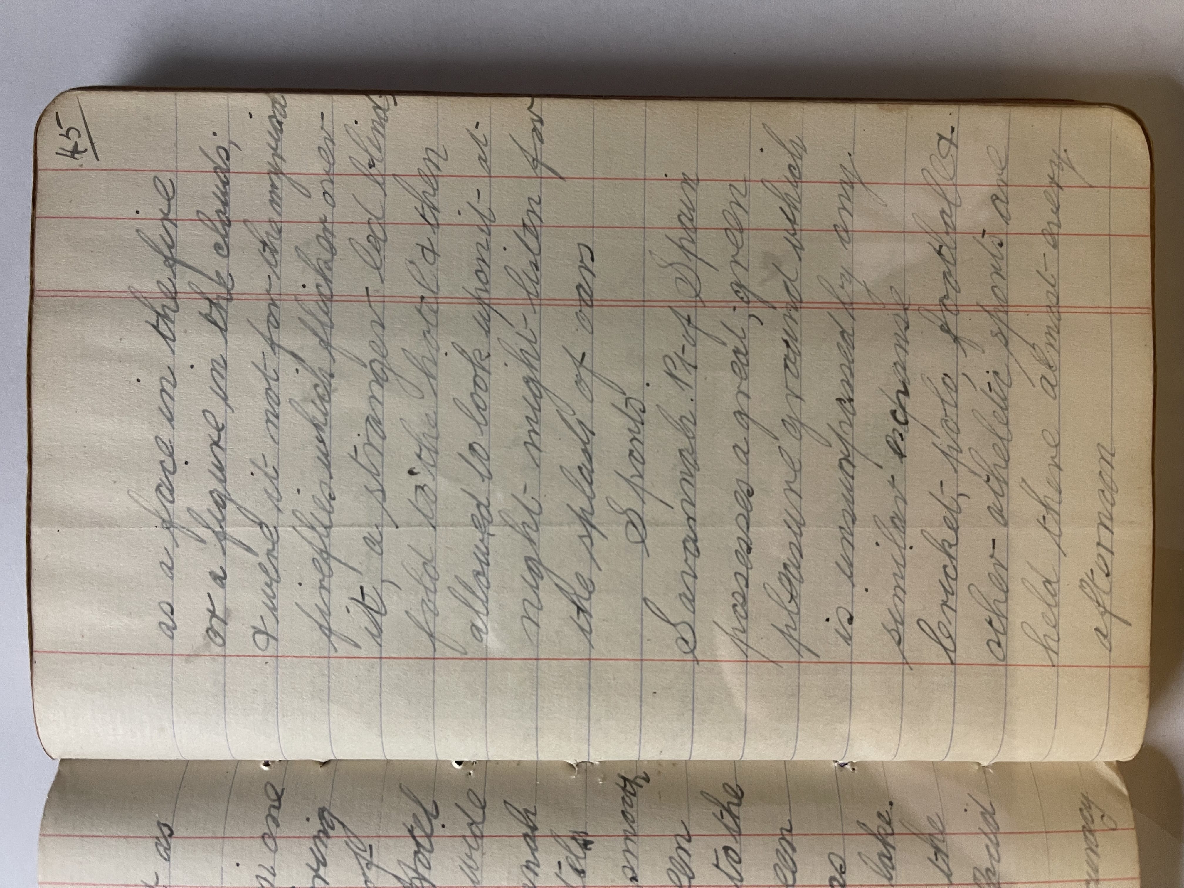 photo of page 45, transcribed above