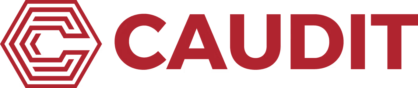 CAUDIT_L_Ogo_0dc6a34ca4.avif