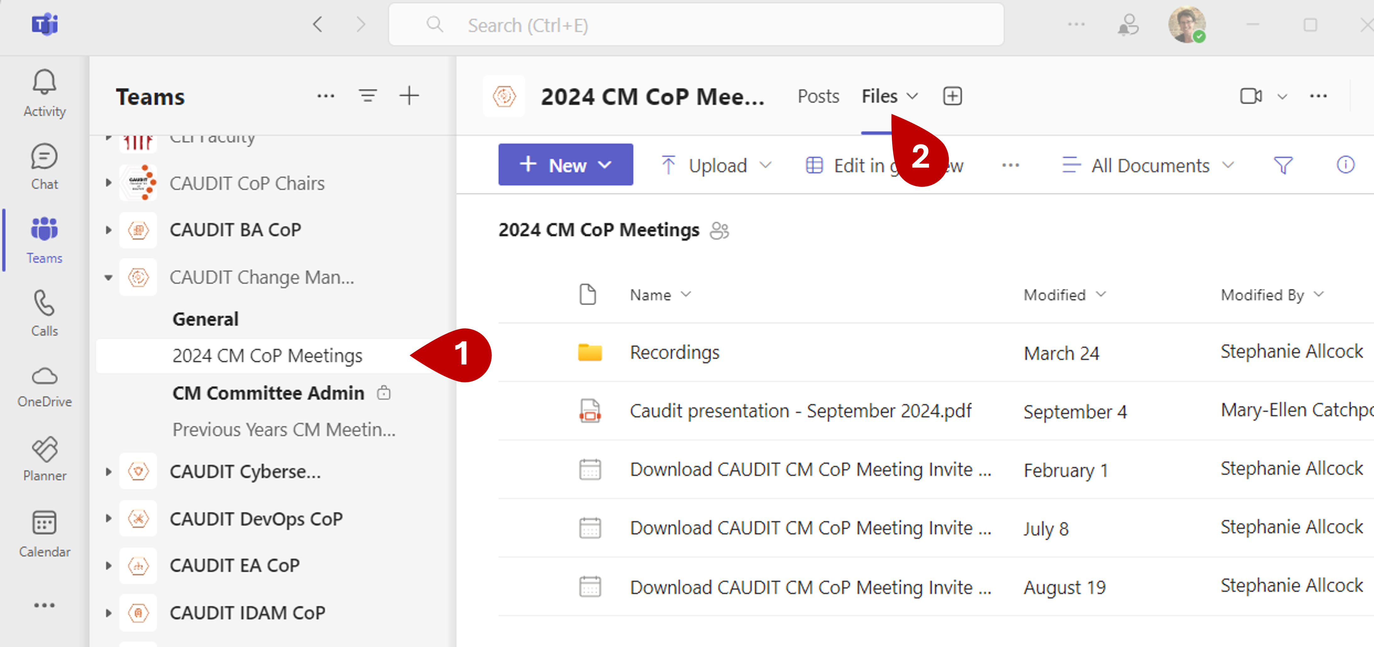 Screenshot Meeting Recordings 1.png