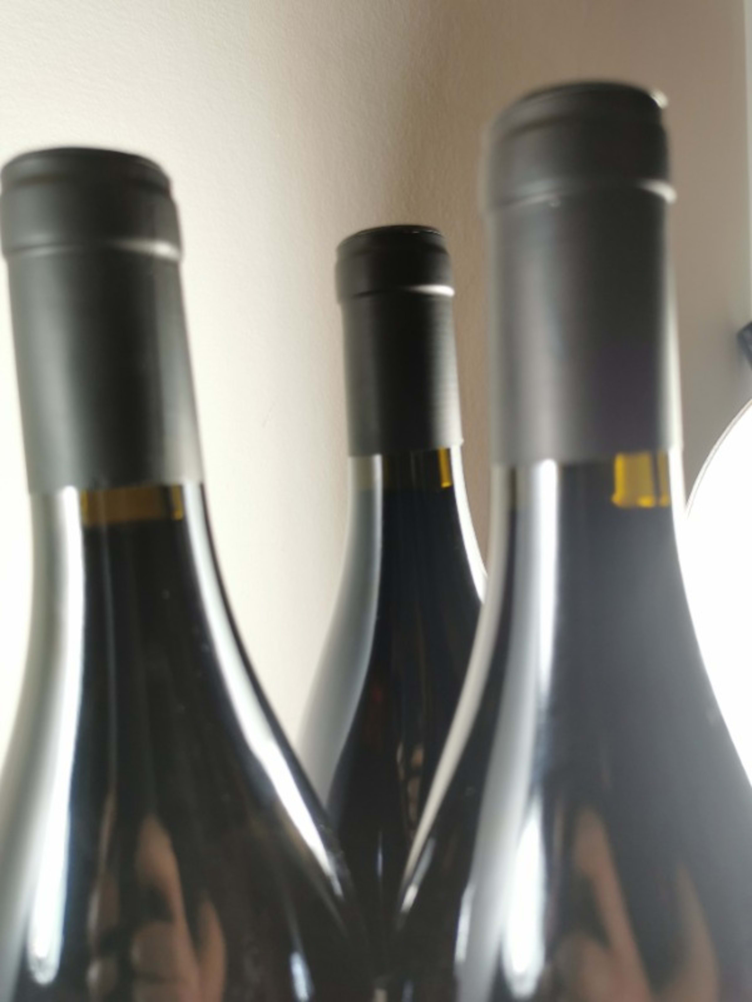 Wine Level