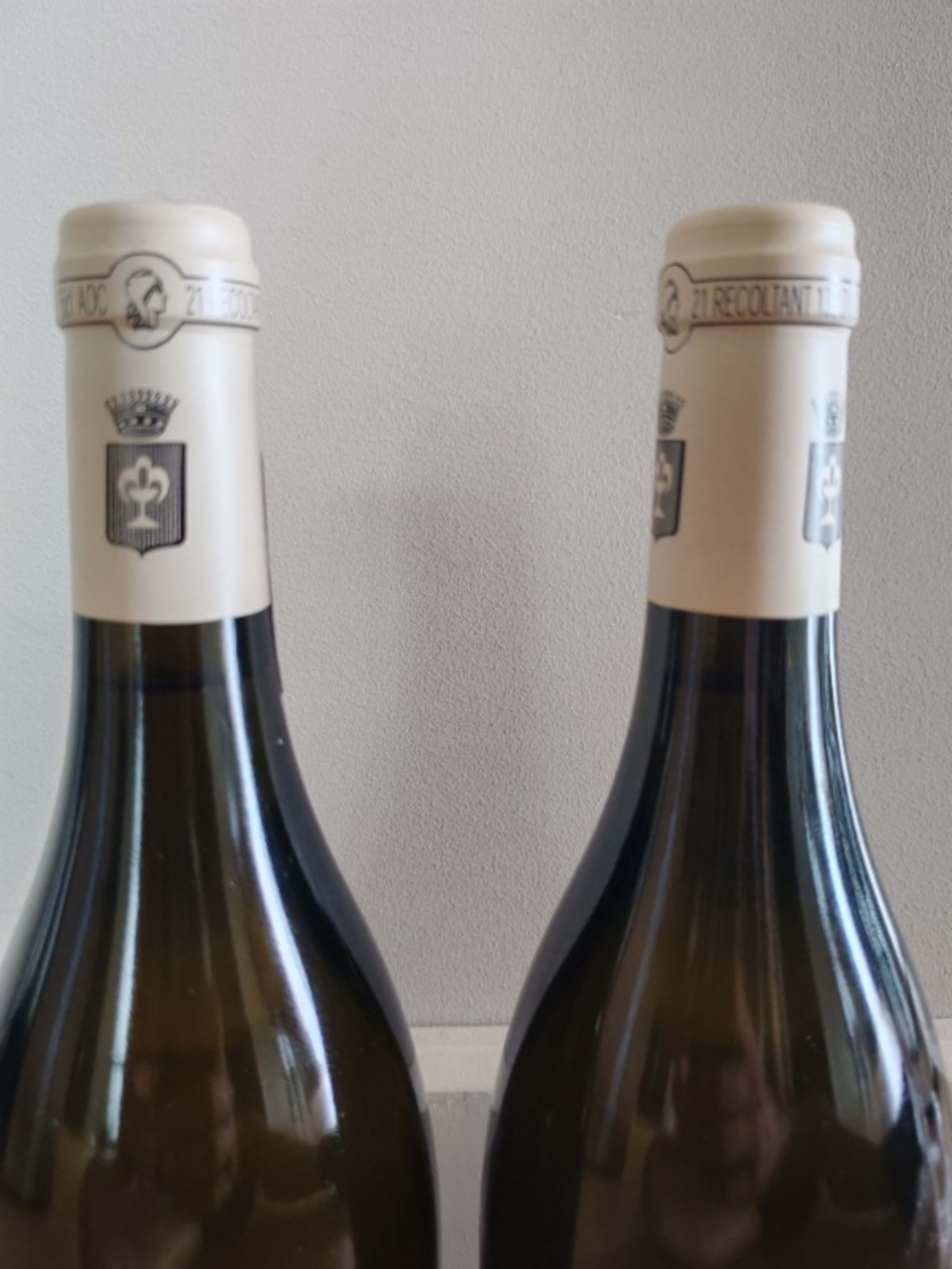 Wine Level