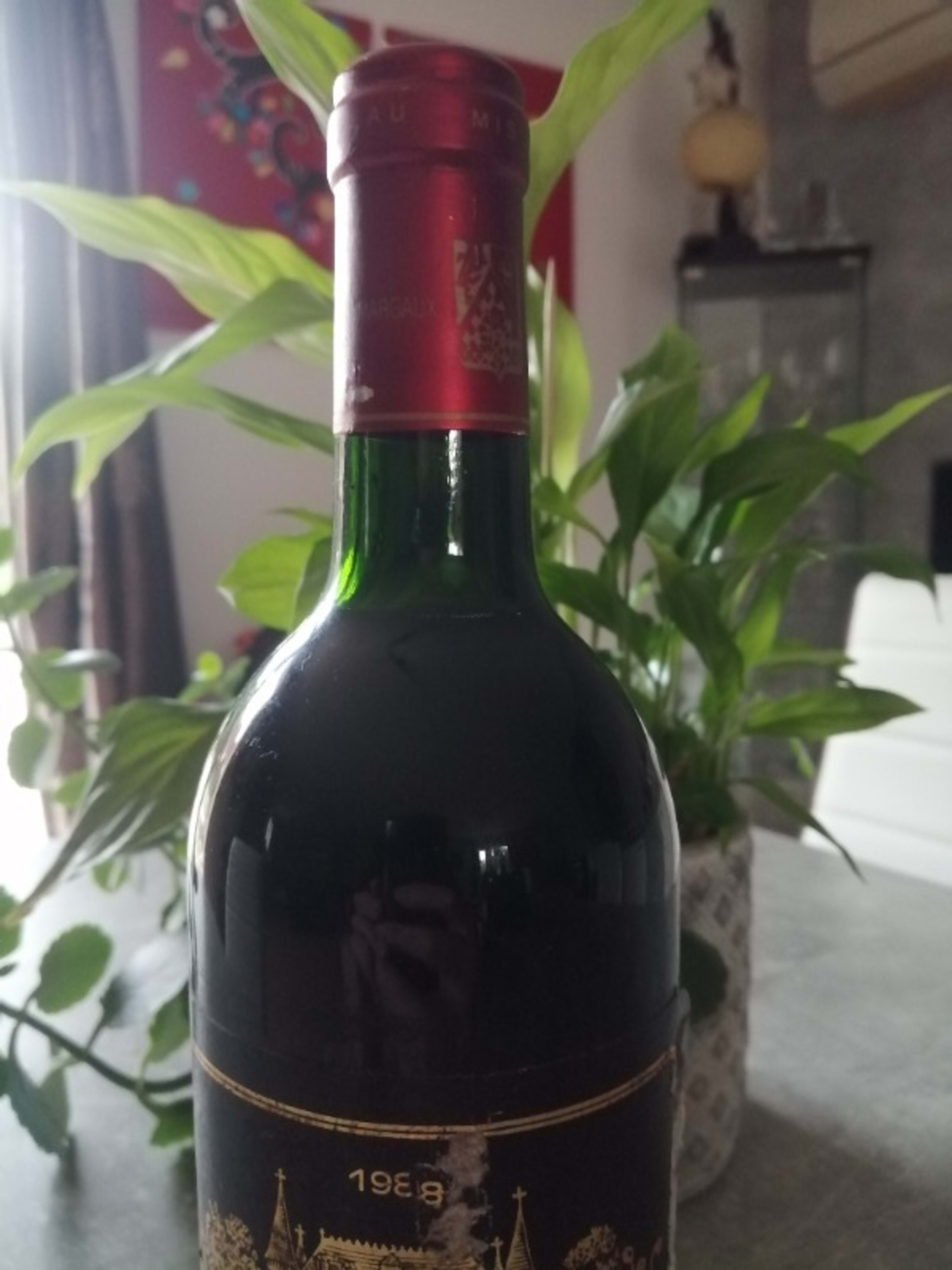 Wine Level