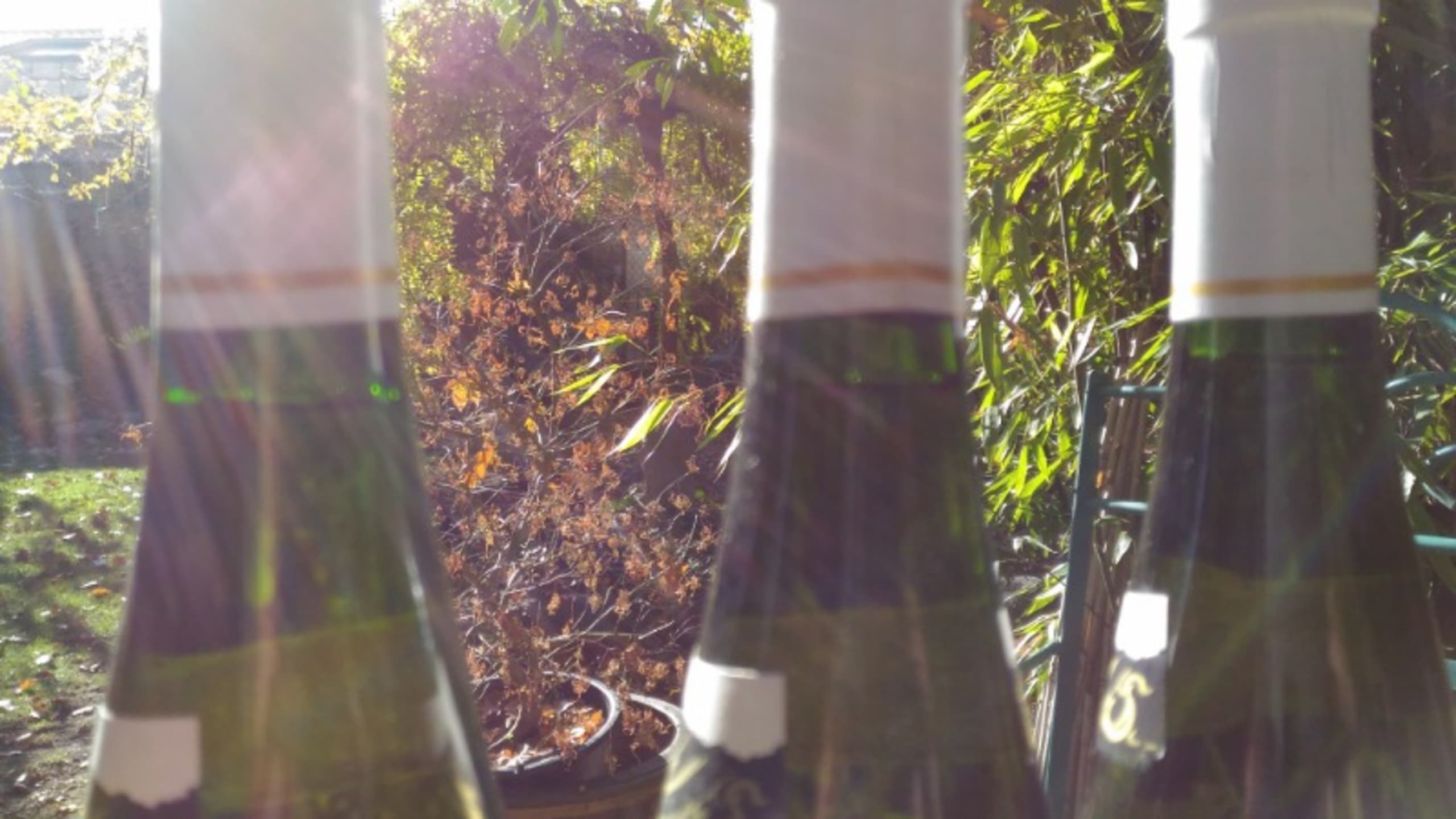 Wine Level