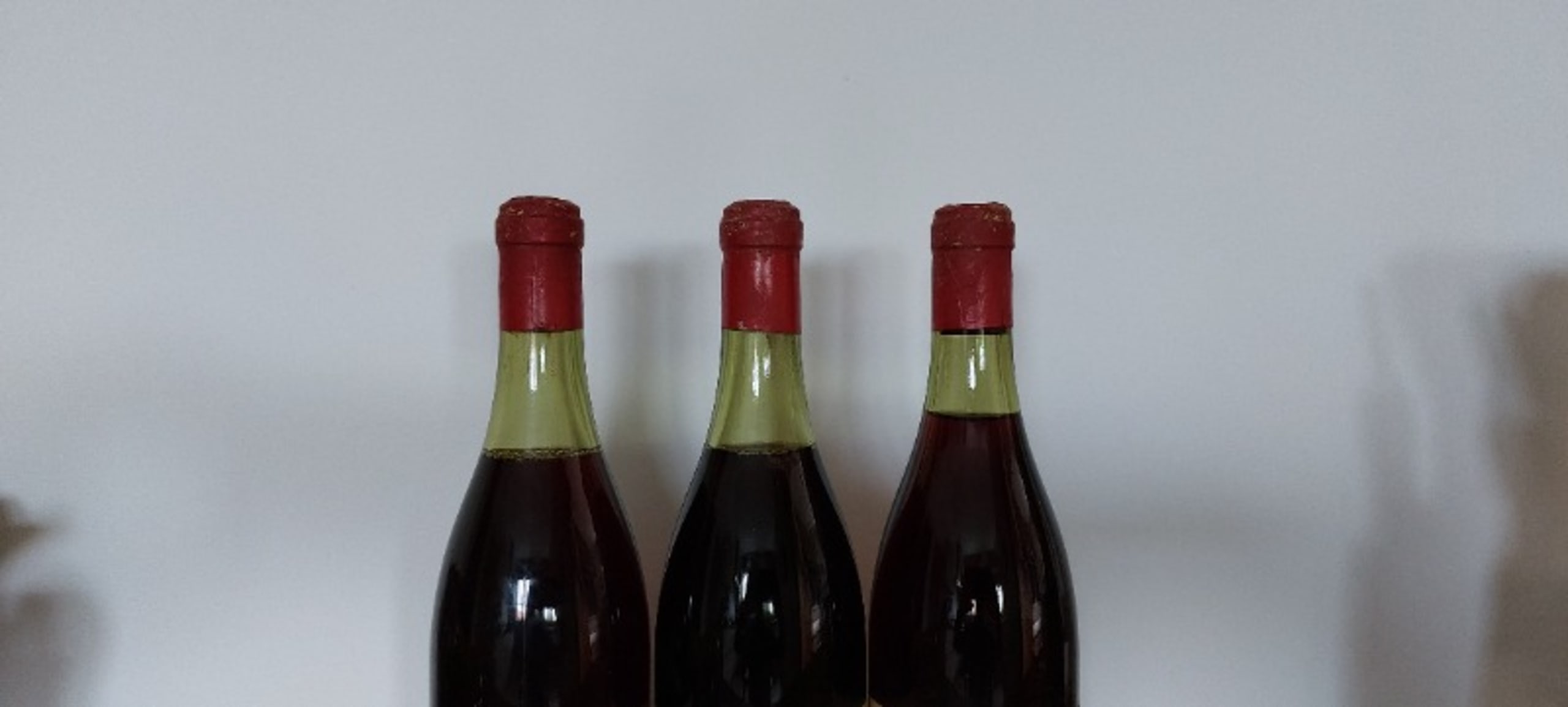 Wine Level