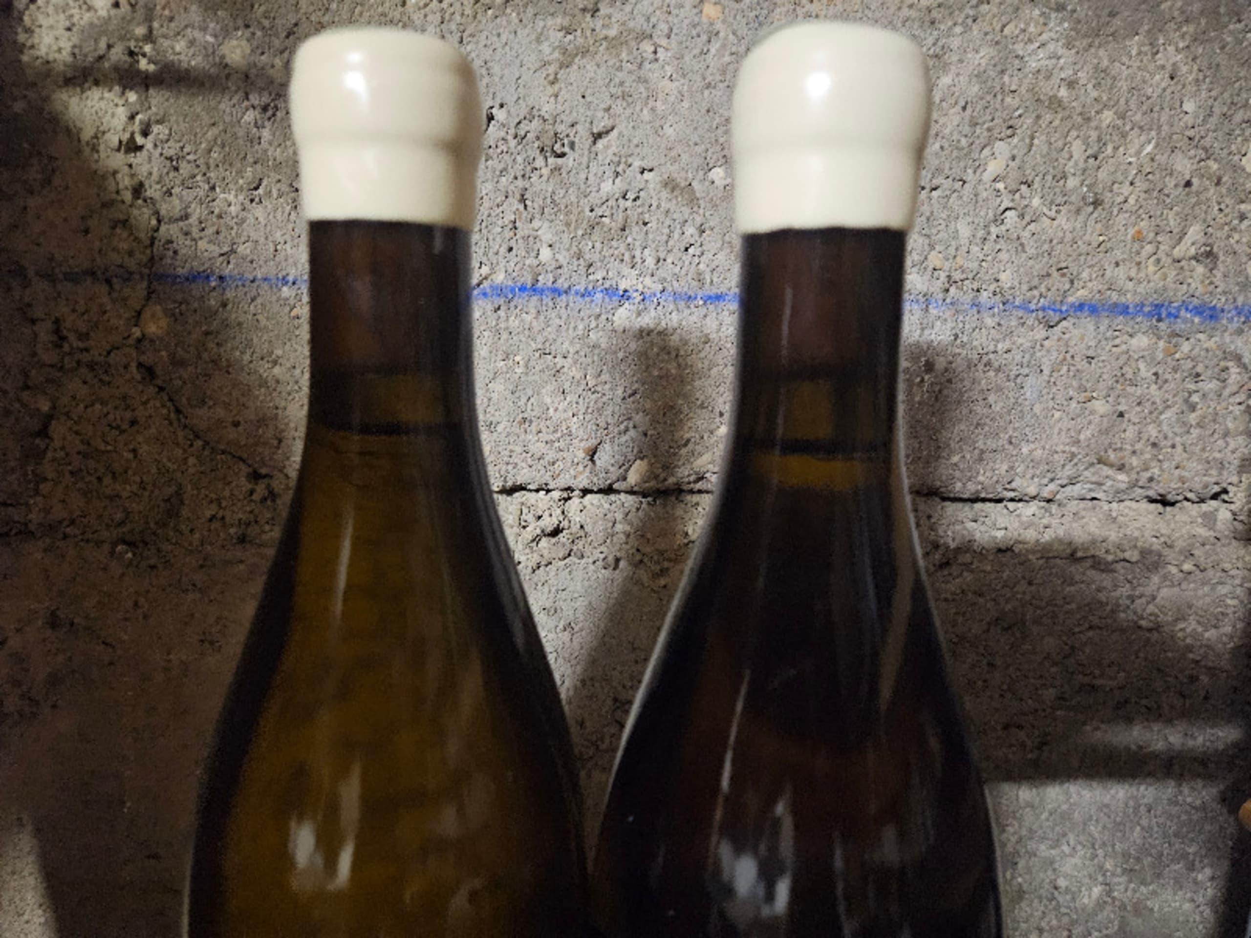 Wine Level