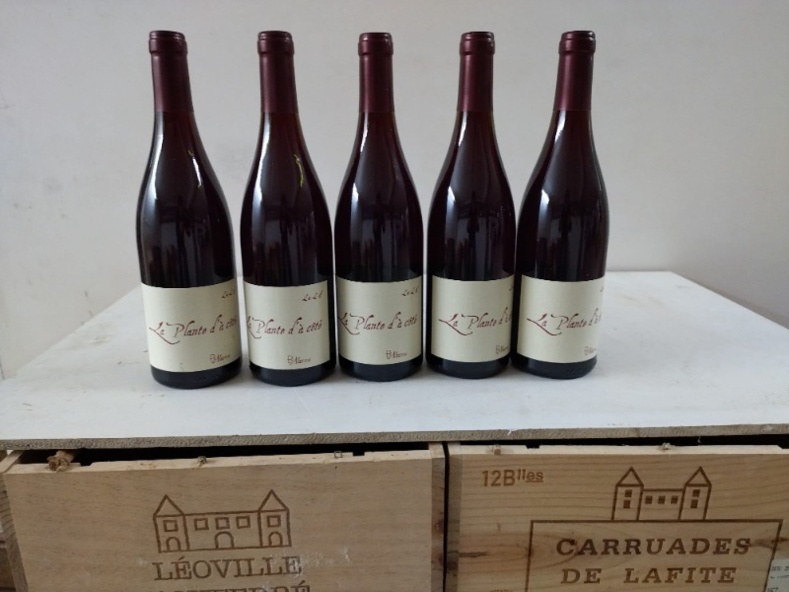 5 x Bourgogne, La plante d'à côté, Binaume Naudin Bizot, 2021
