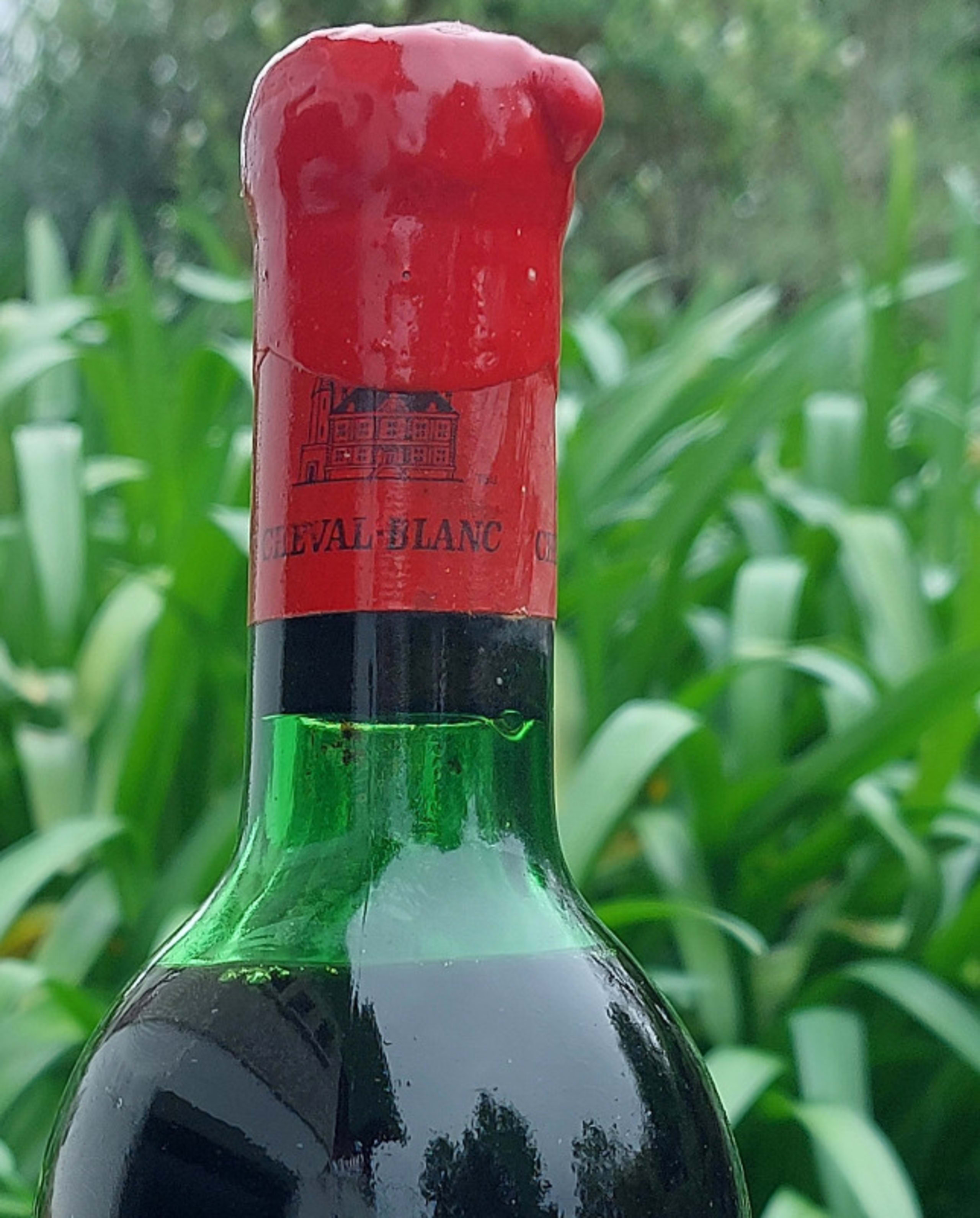 Wine Level