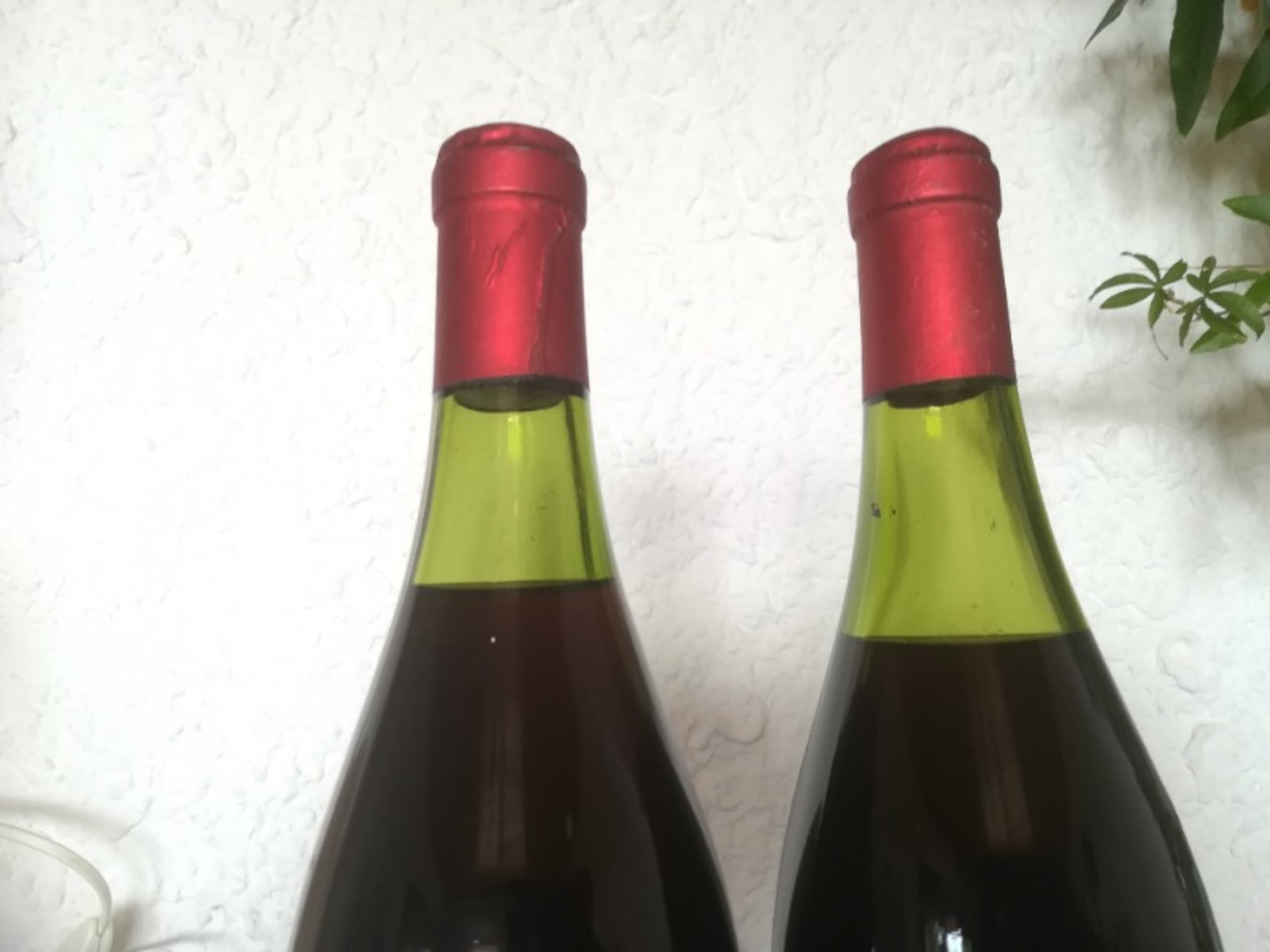 Wine Level