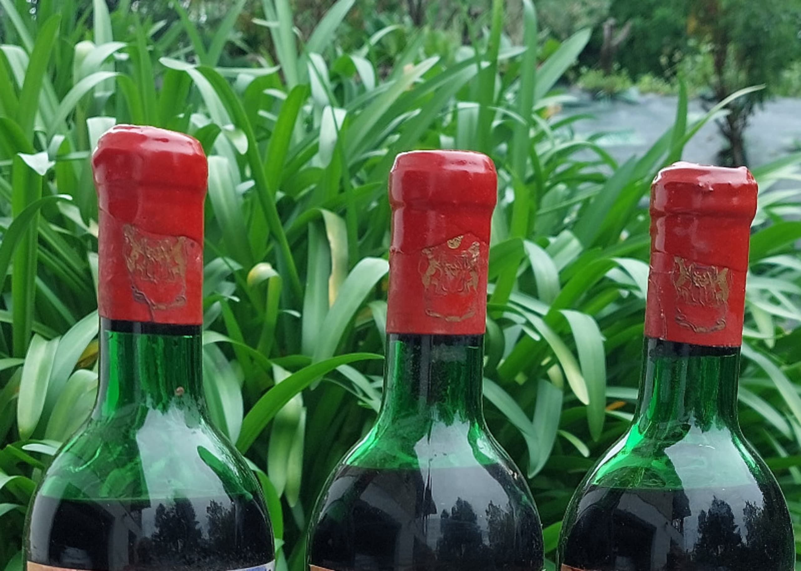 Wine Level