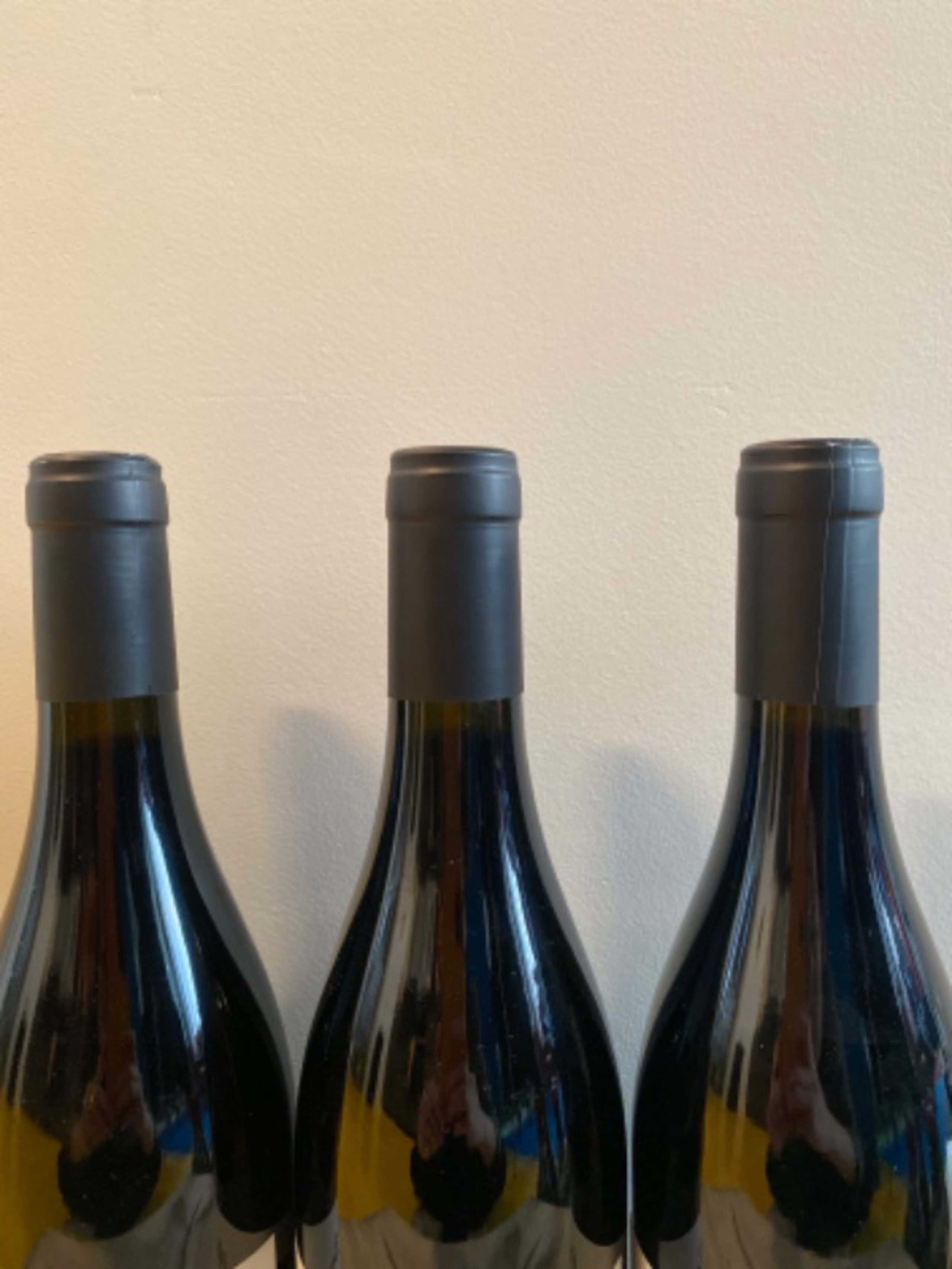 Wine Level