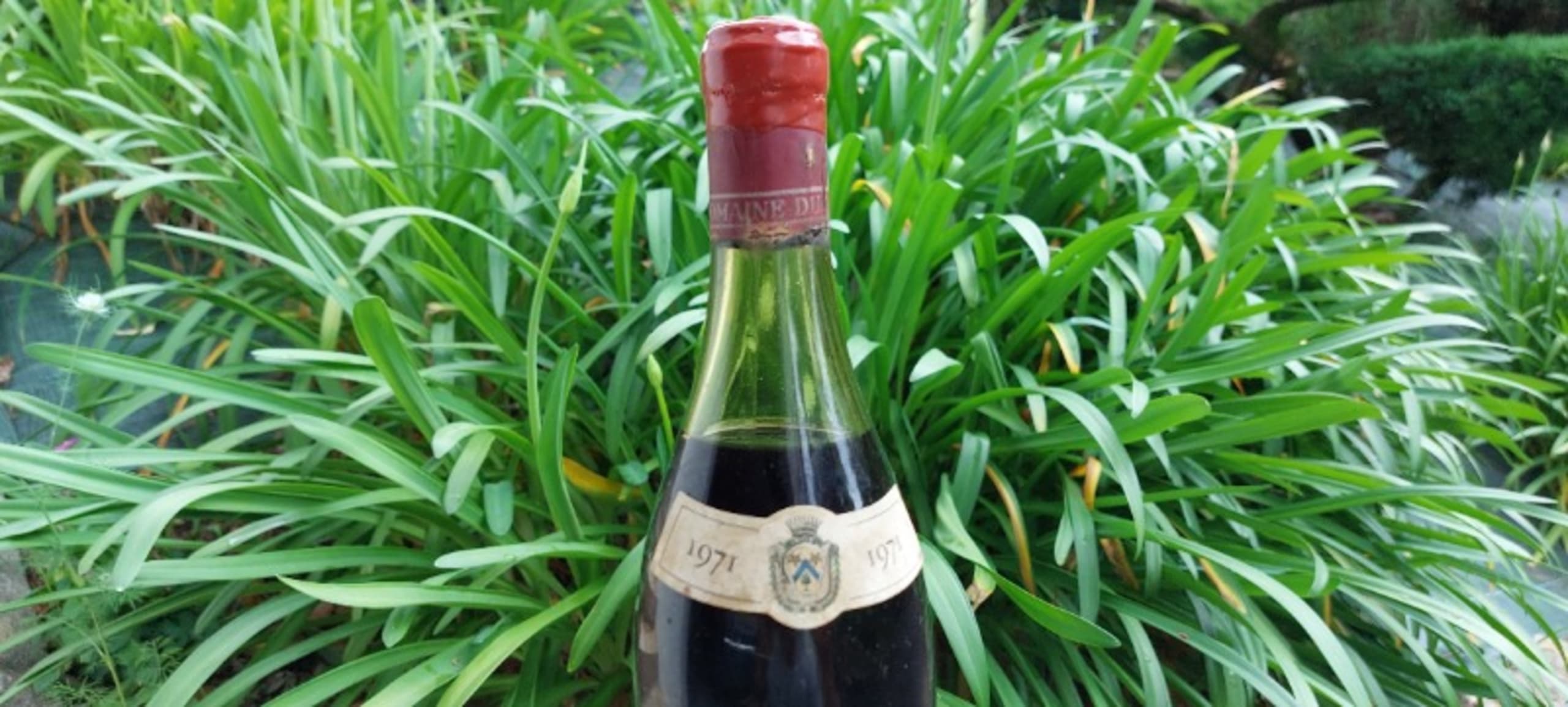 Wine Level